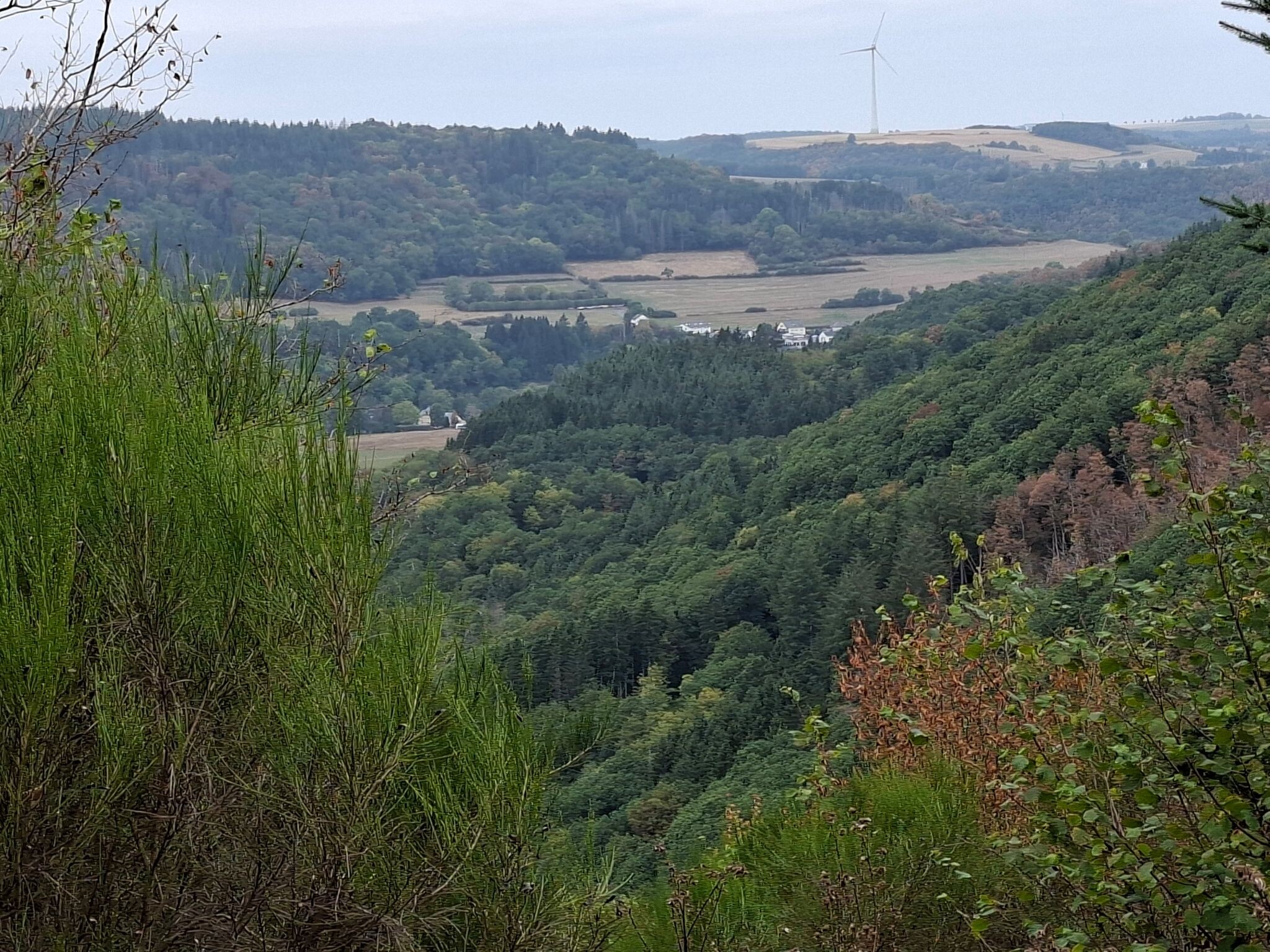 Luxemburg