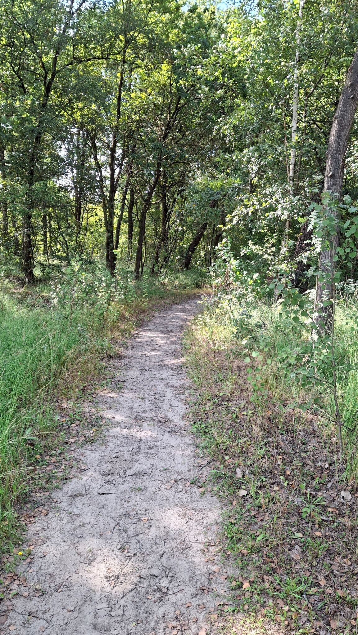 Koekoeksroute