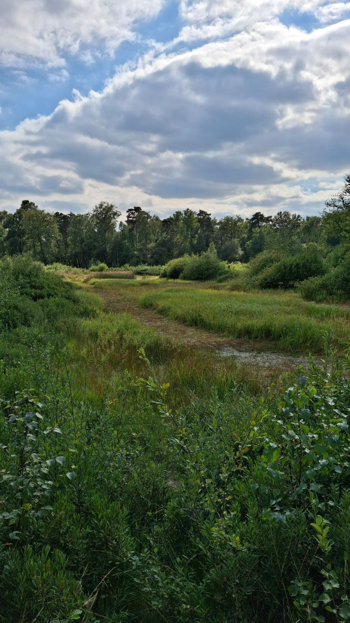 Koekoeksroute