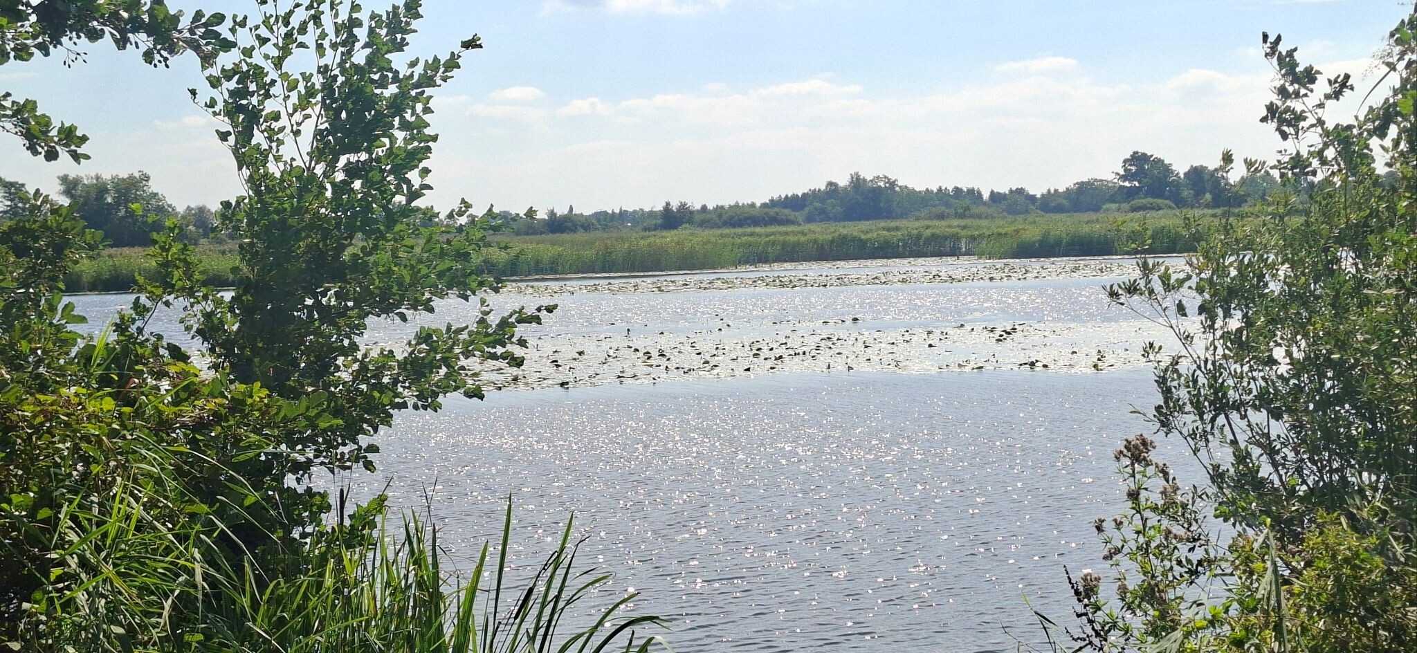 Hilversum