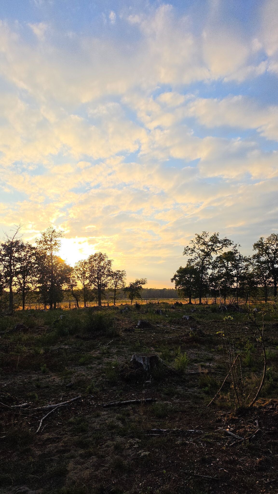 Doldersum - Berkenheuvelgebied - Wapserveld