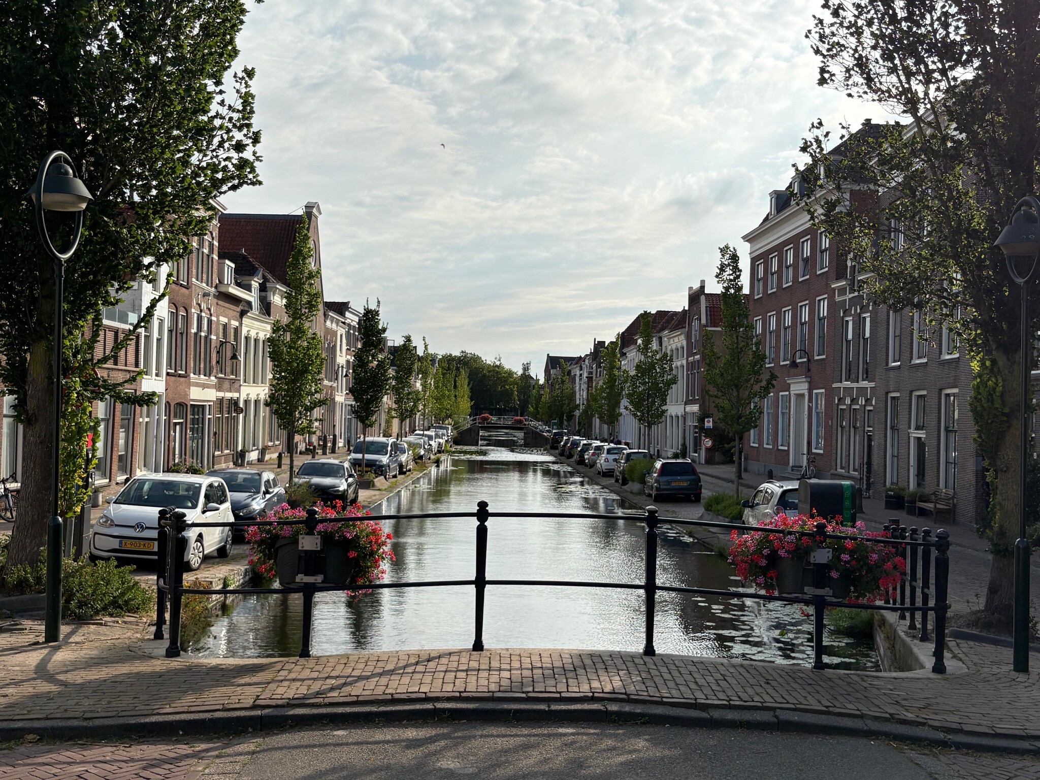 Gouda
