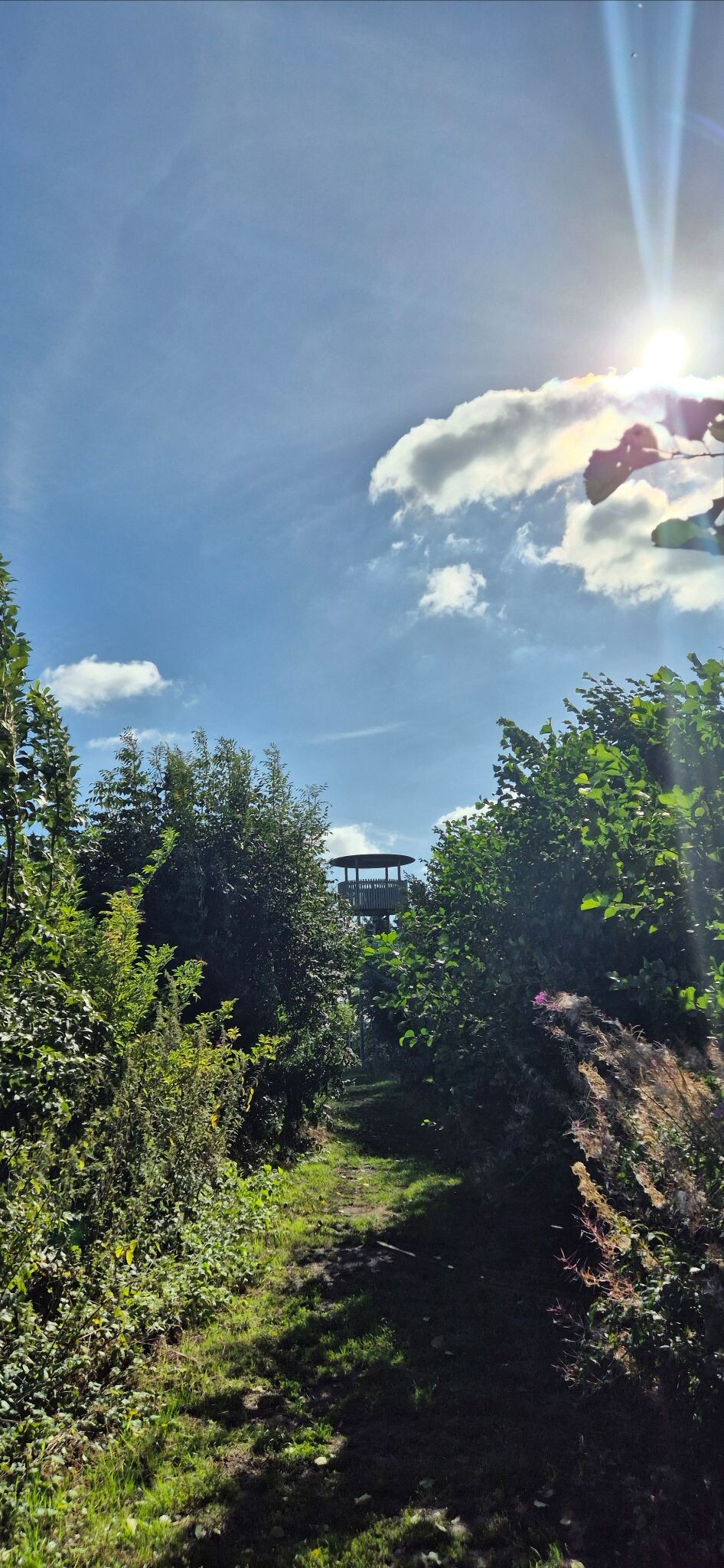 Hollandse IJsselpad