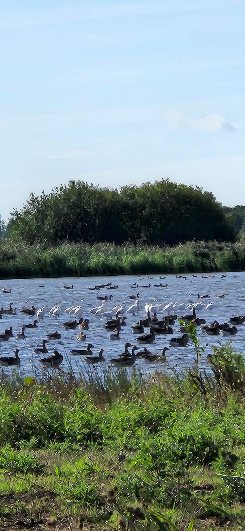Hollandse IJsselpad