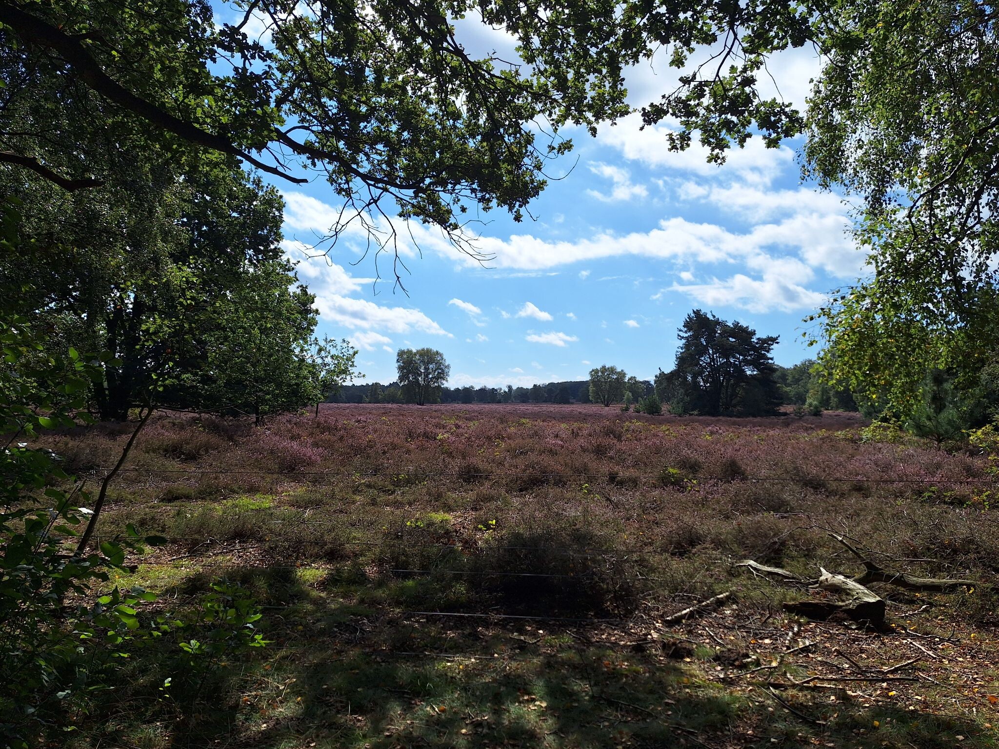 Boswachterspad Springendal