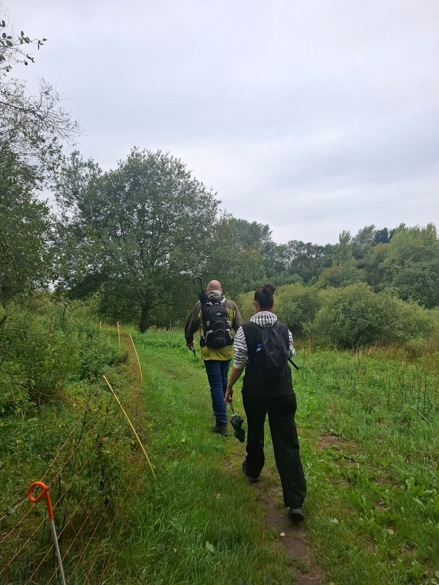 Coevorden - Hardenberg · Pieterpad etappe 8