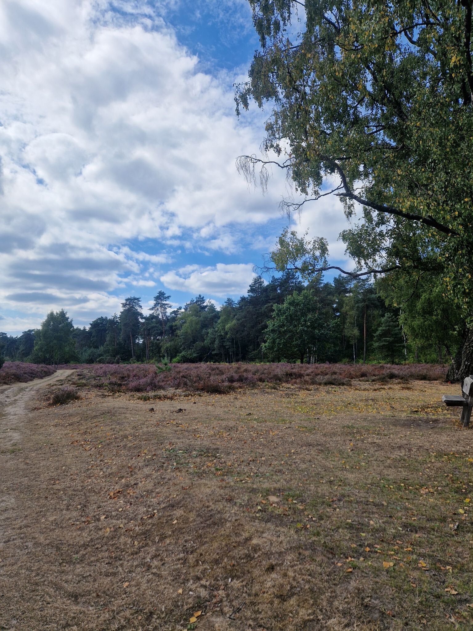 Haaksbergen
