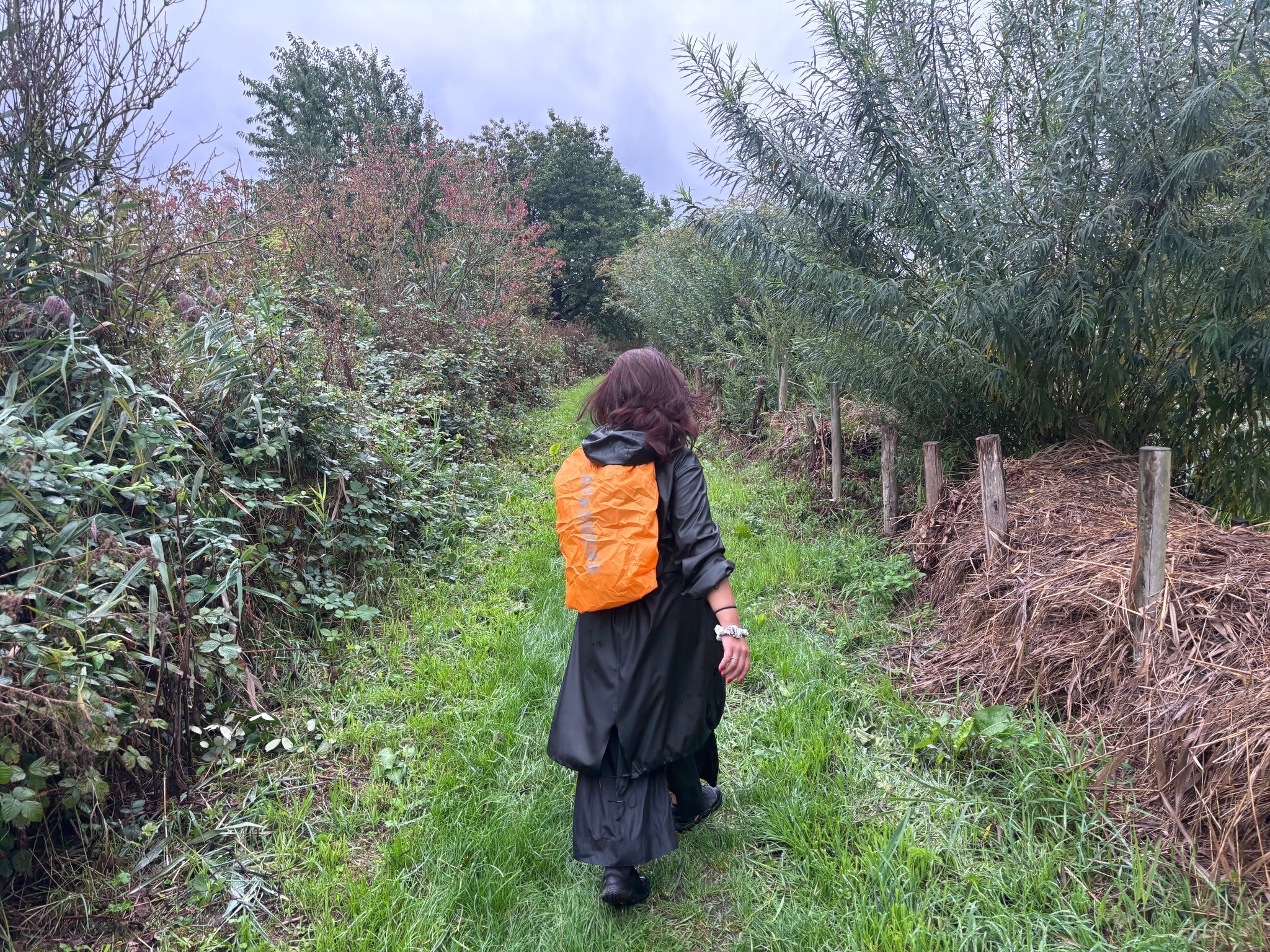 Wandelen door het Hoge Bergse Bos