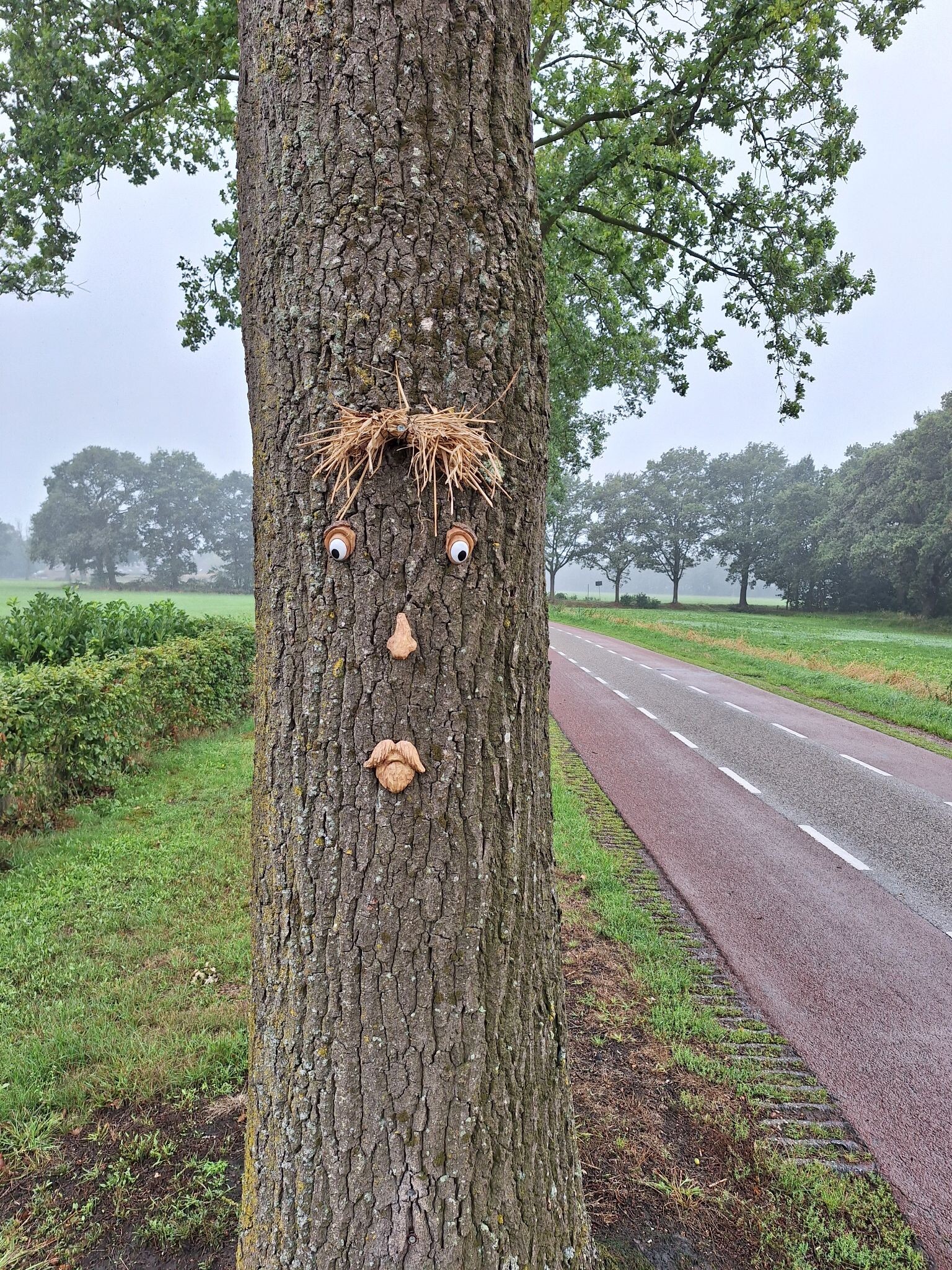 Coevorden naar Hardenberg - "Bijna achterin" · NederRandpad etappe 6
