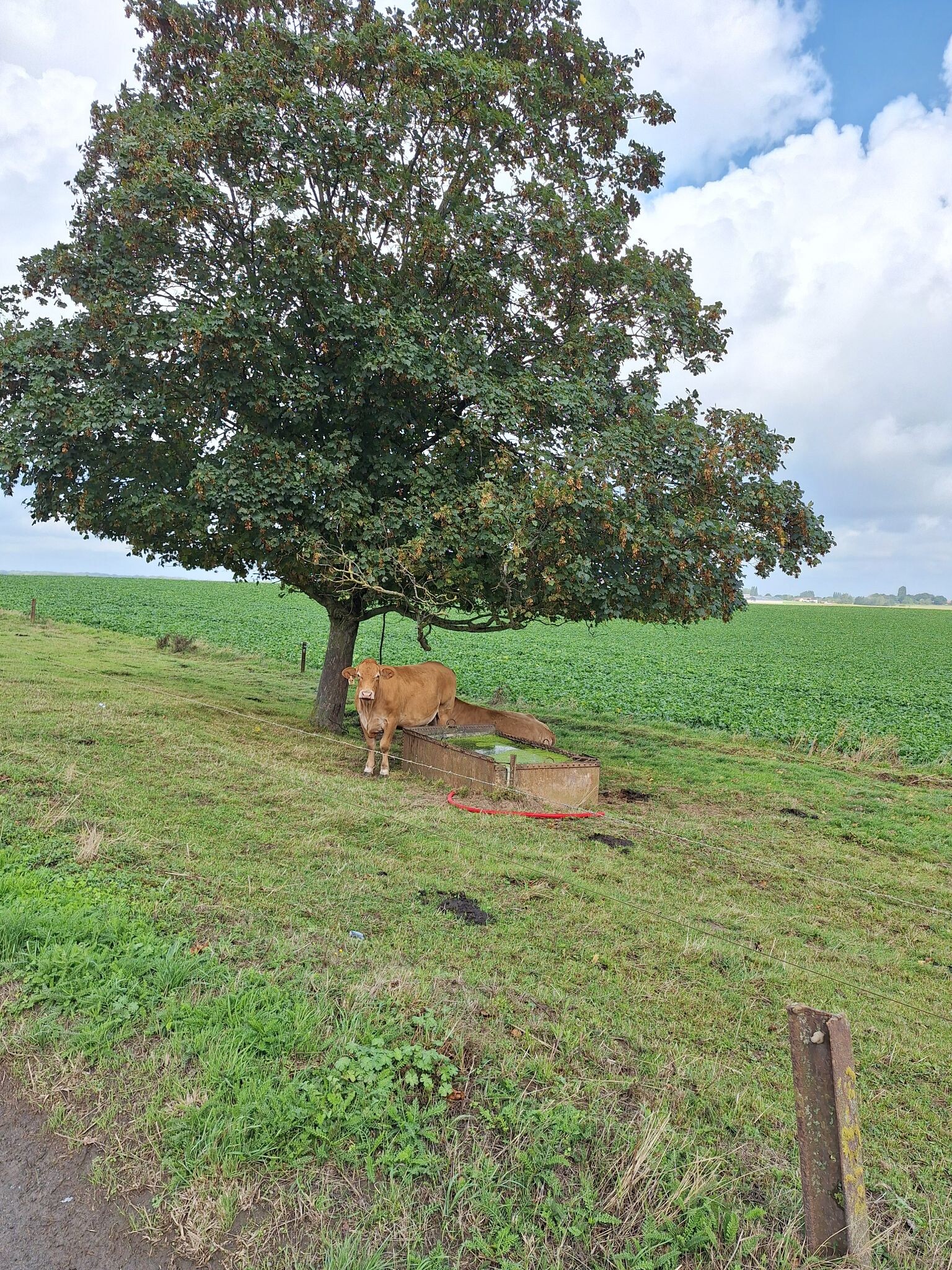 Walloon Brabant