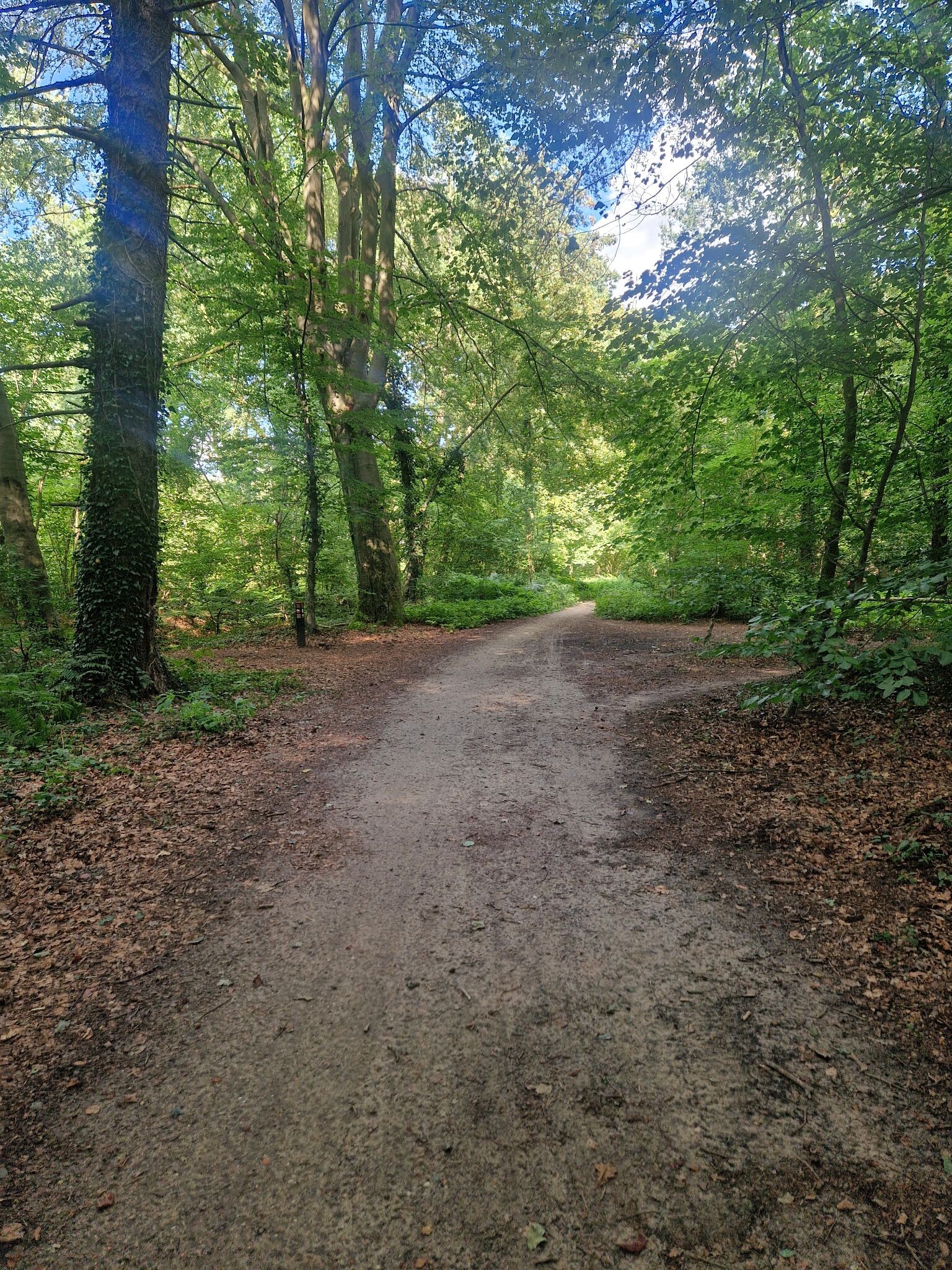 Ockhorstroute