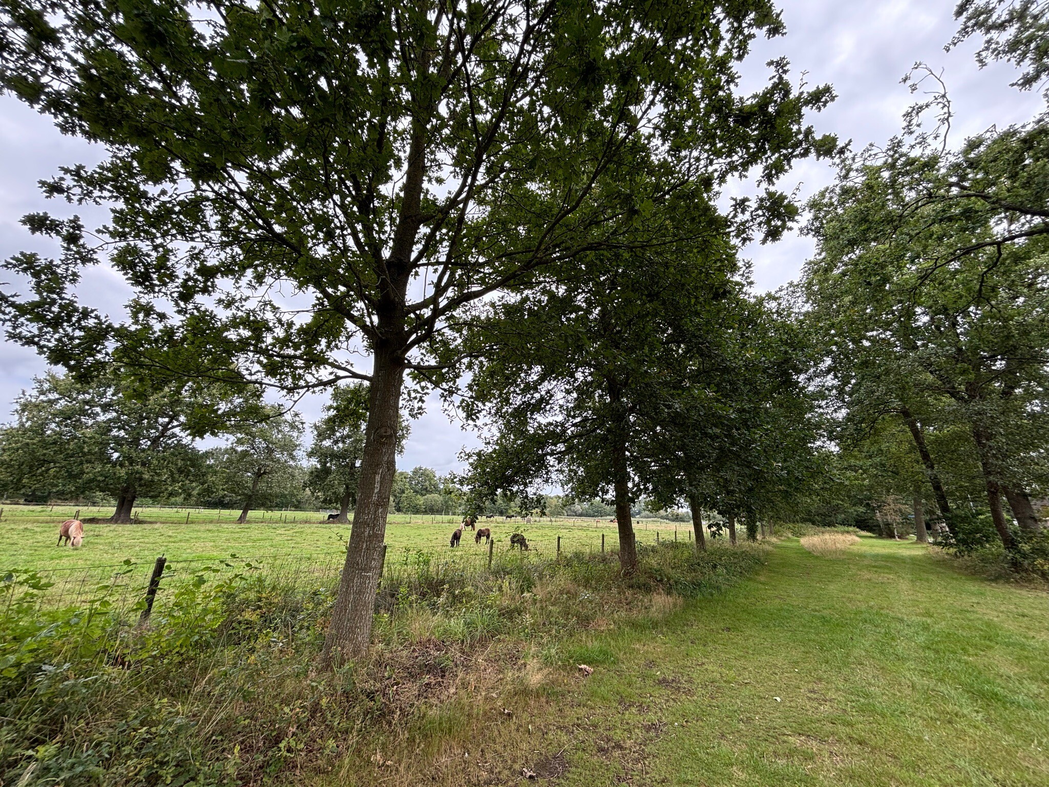 Coevorden
