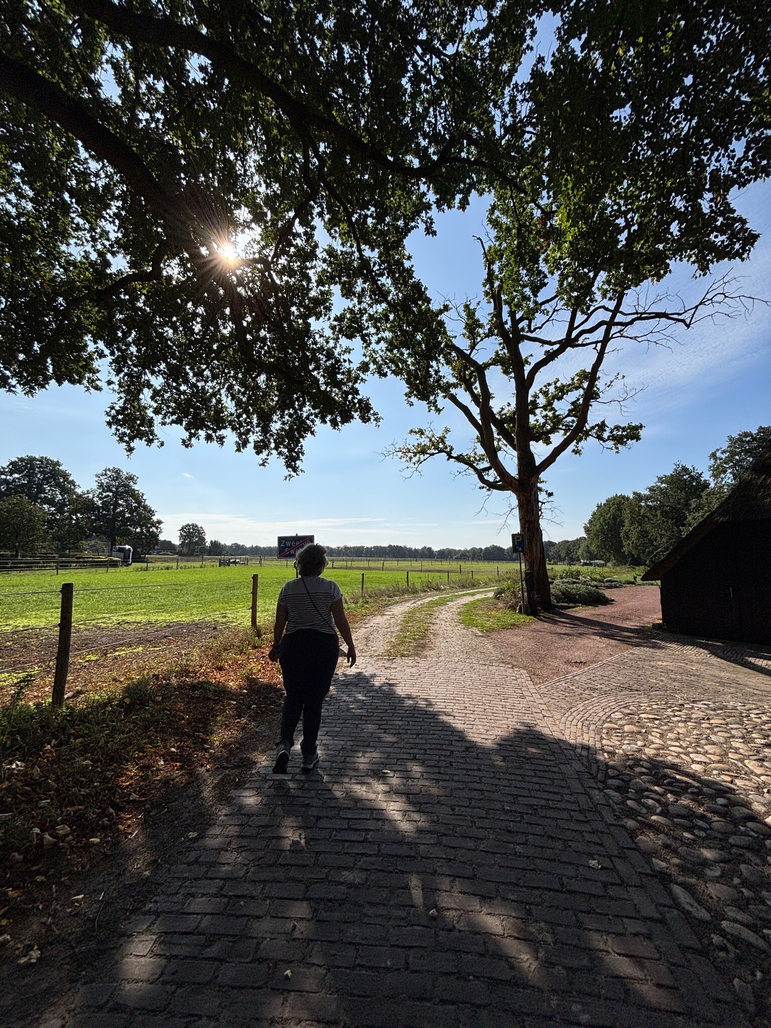 Aalden Rondomme