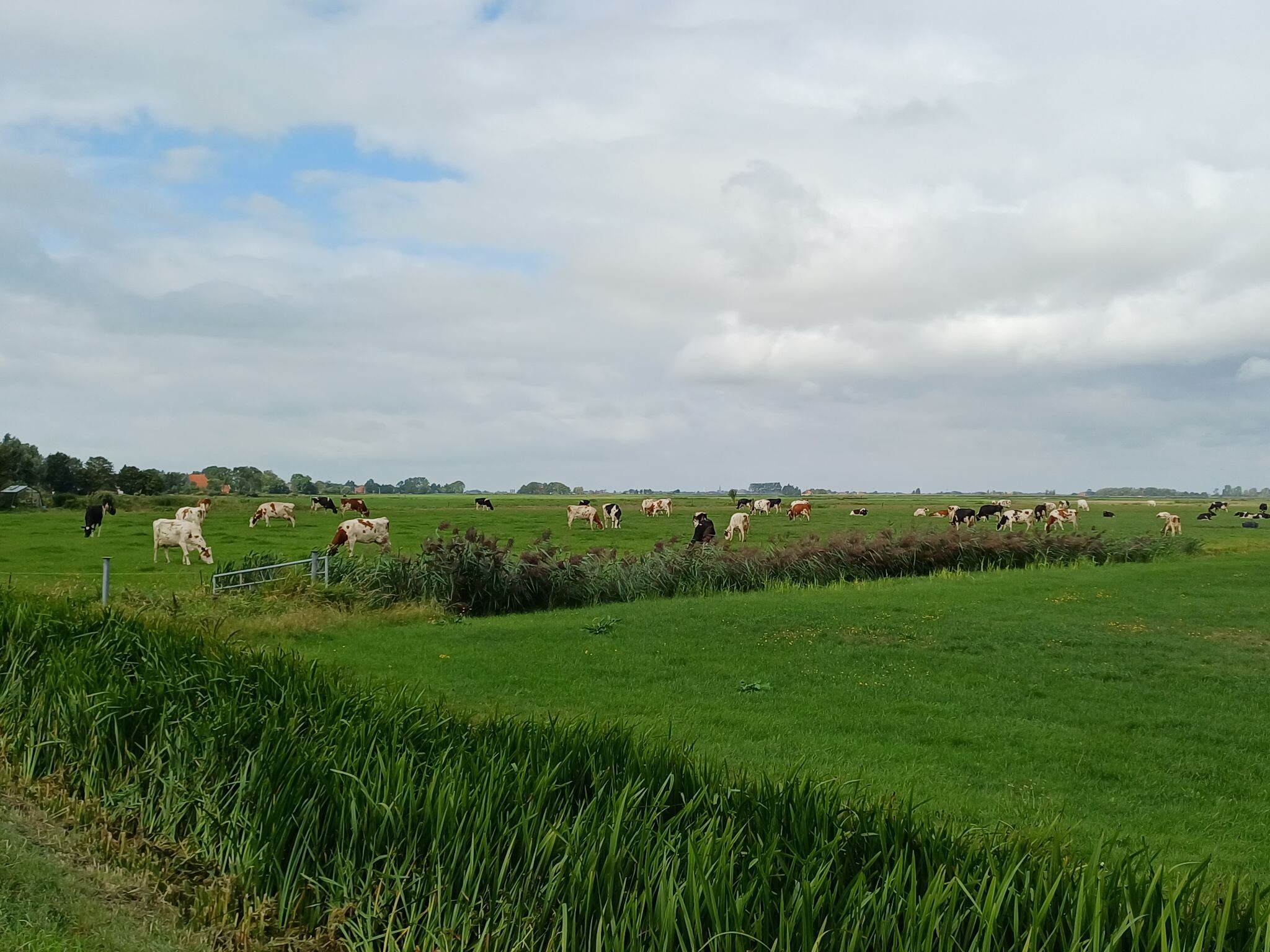 Pauzewandeling