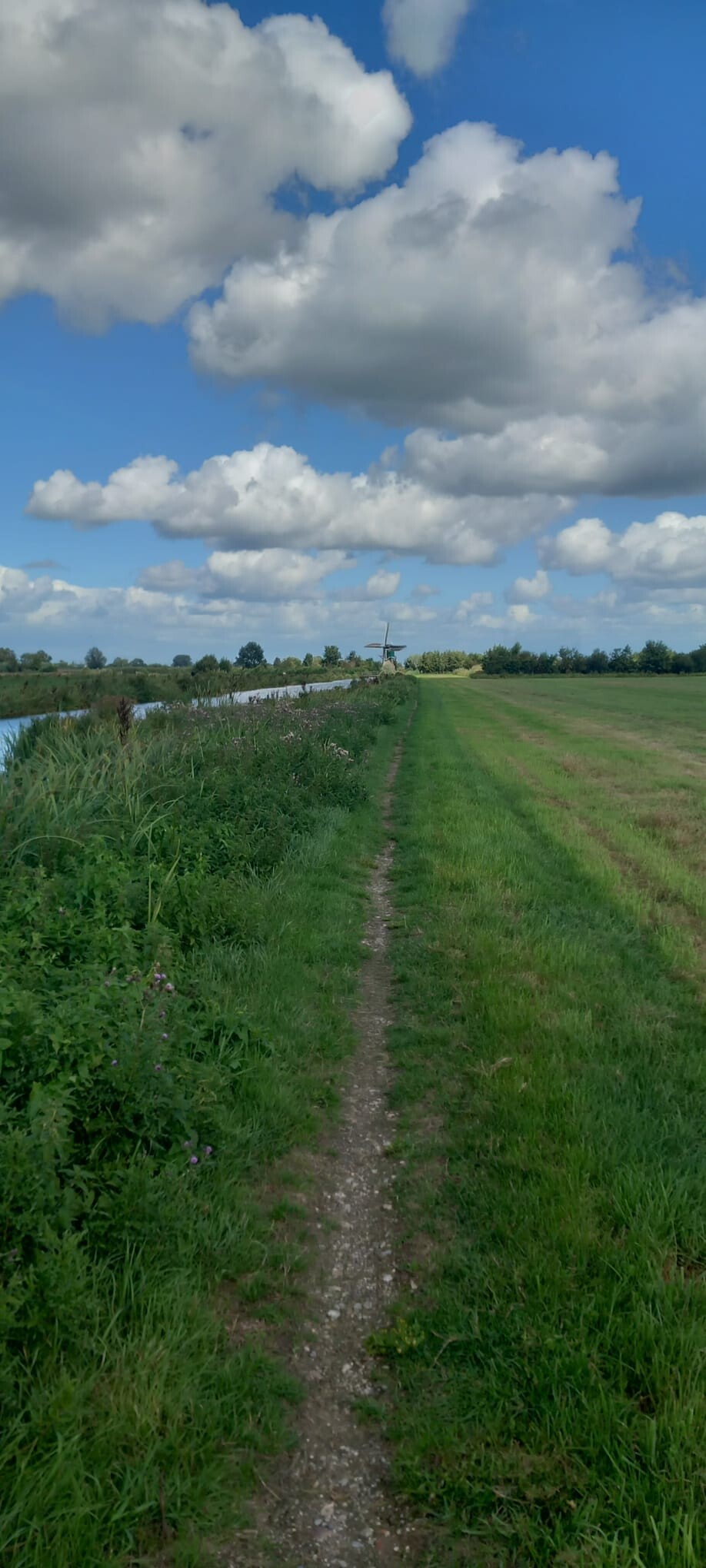 Driebruggen
