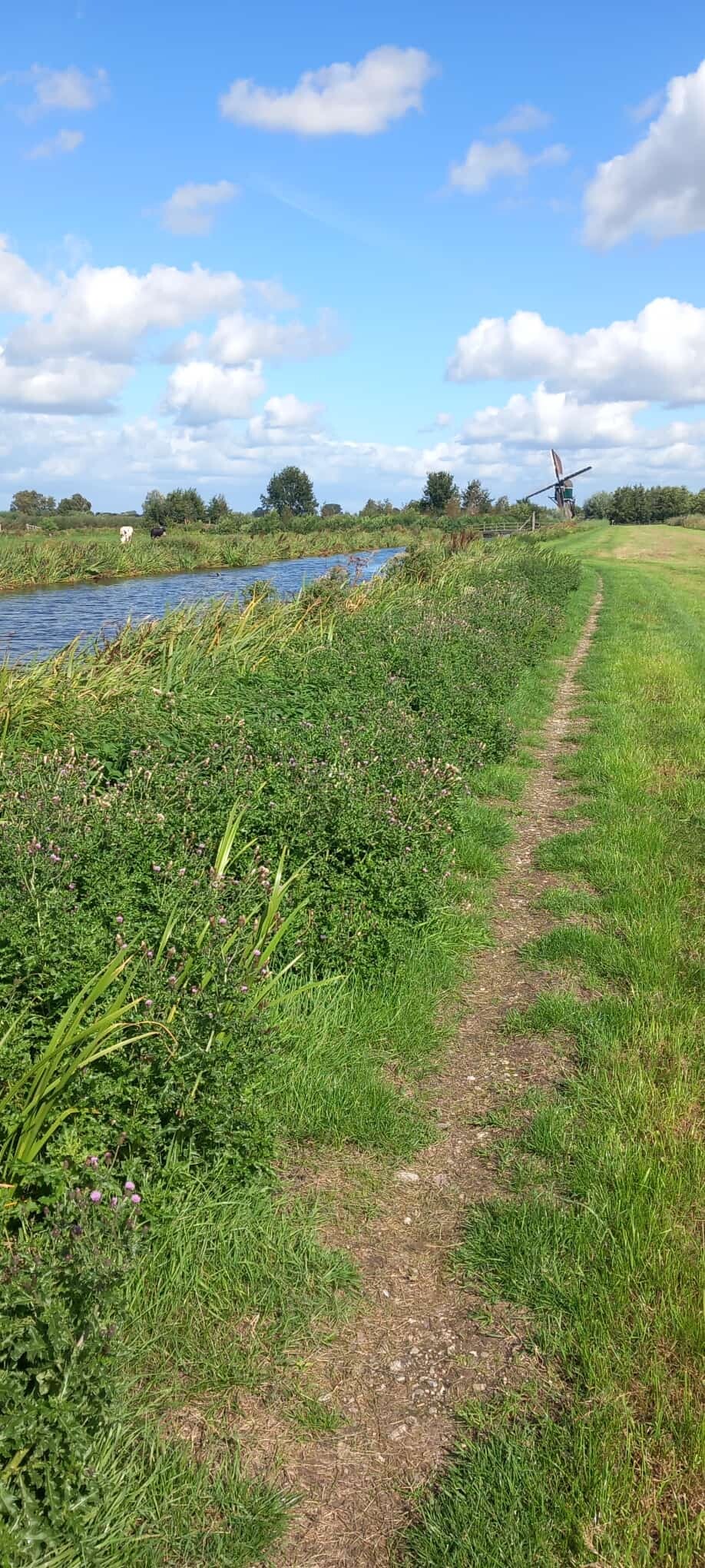 Driebruggen