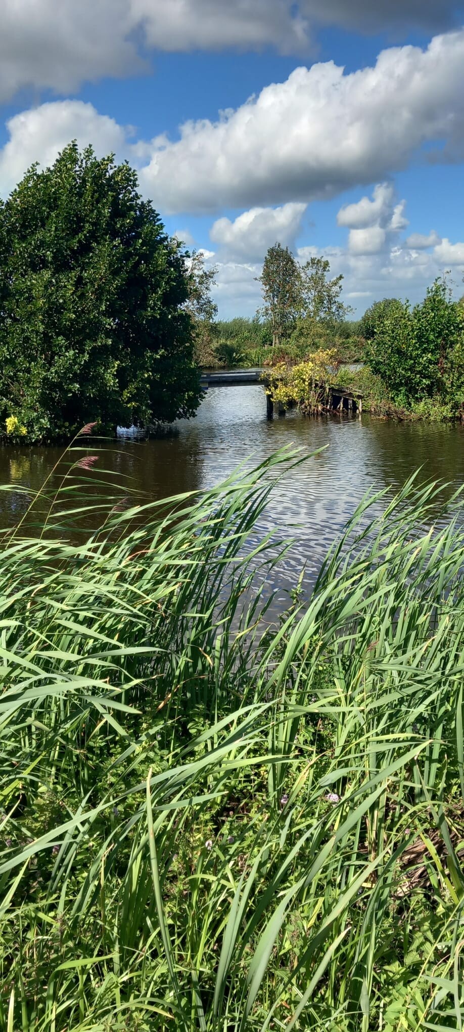 Wandelroute Rondje Oukoop