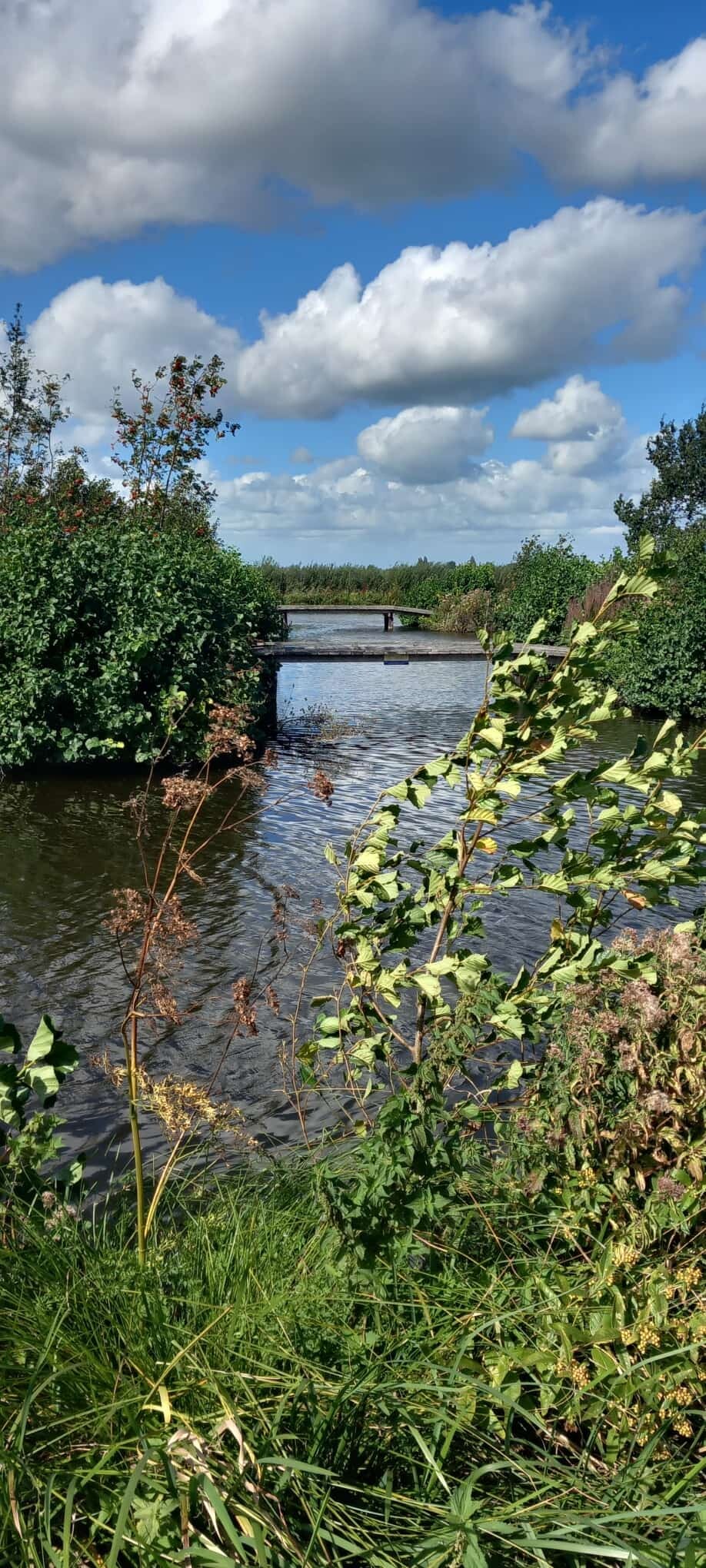 Wandelroute Rondje Oukoop