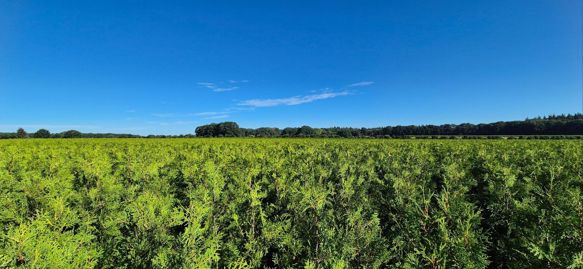 Hoog Soeren - Garderen (Doorsteek 3) · Veluwe Zwerfpad etappe 22