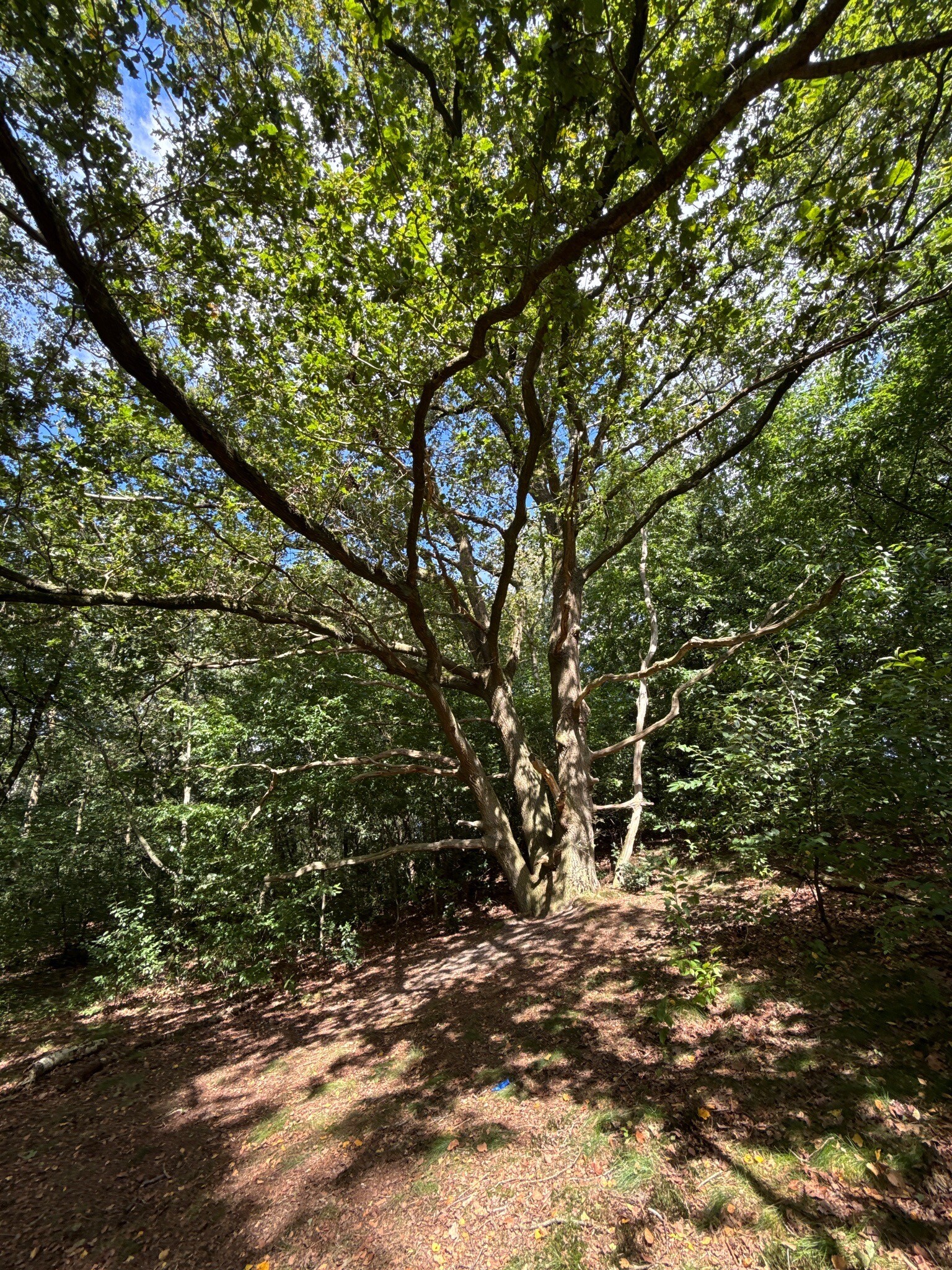 WandelWeb routes