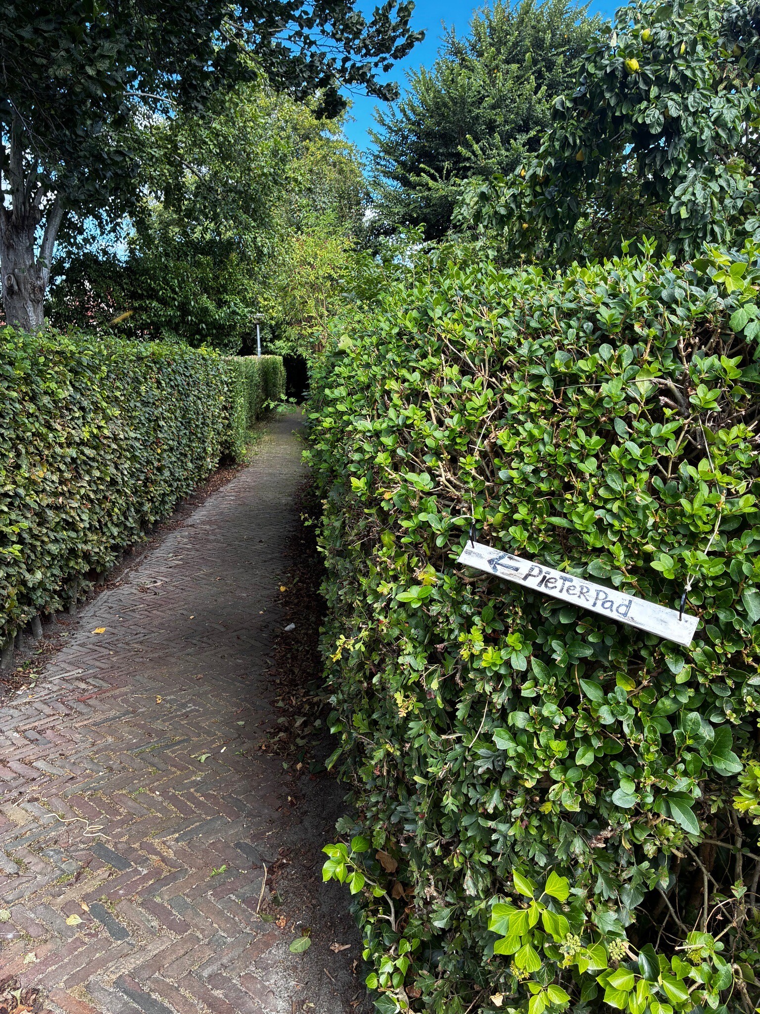 Ommetje Winsum (route 3)