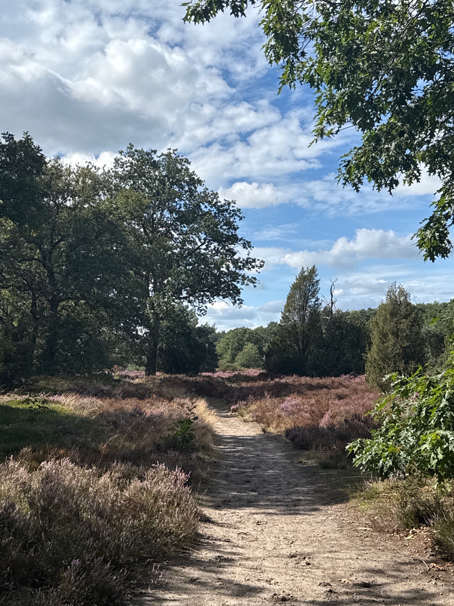 WandelWeb routes