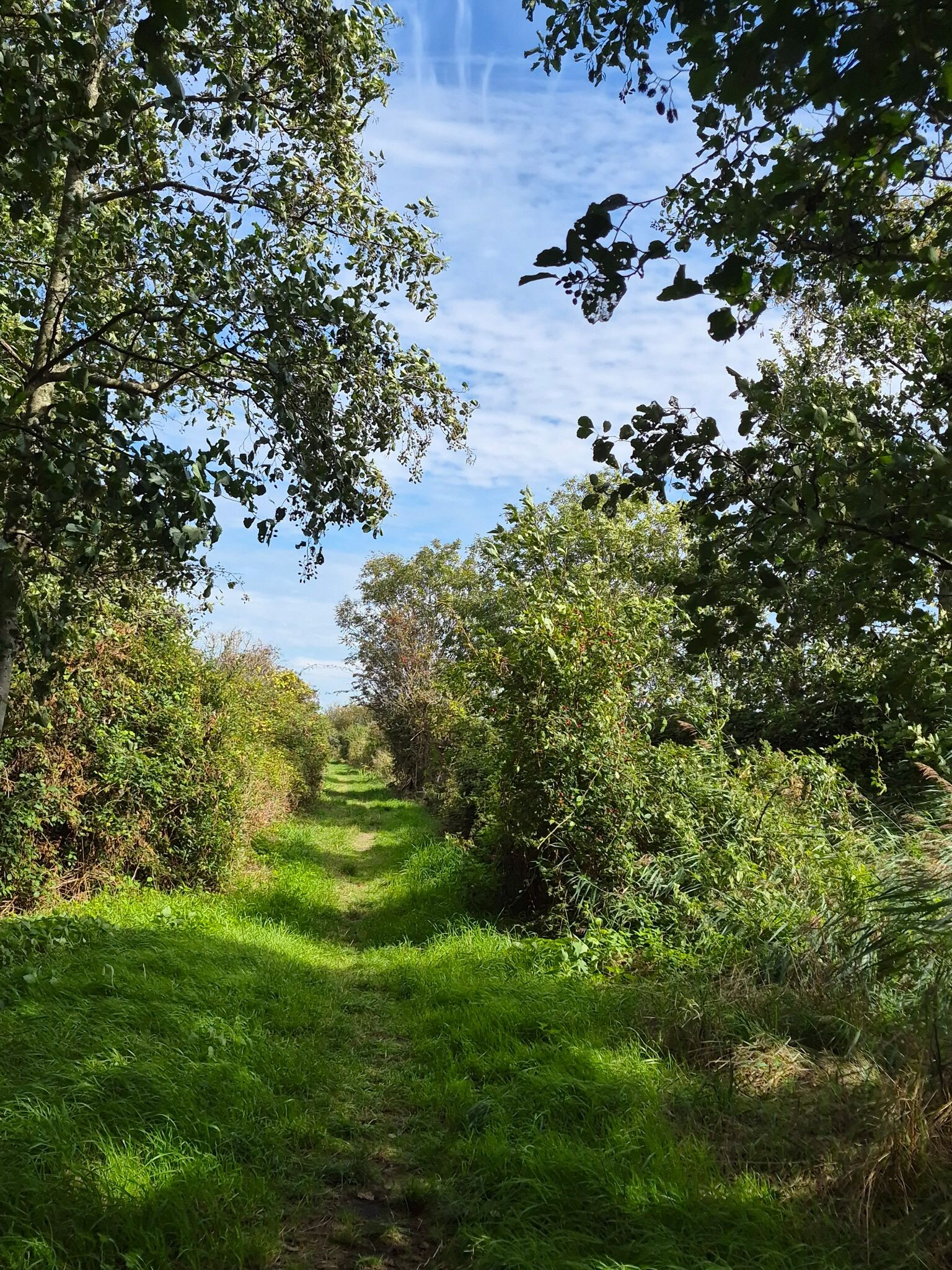 Wandelroute Volgerland op Goeree, Zuid-Holland
