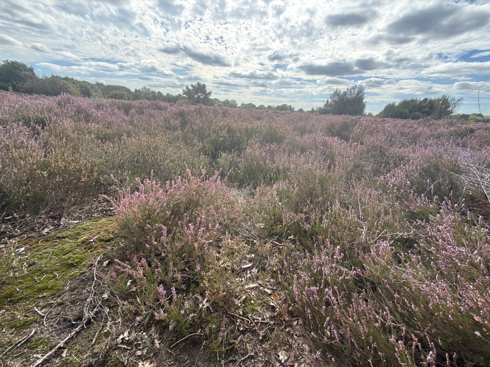 Dorpsommetje Terhorst-Smalbroek