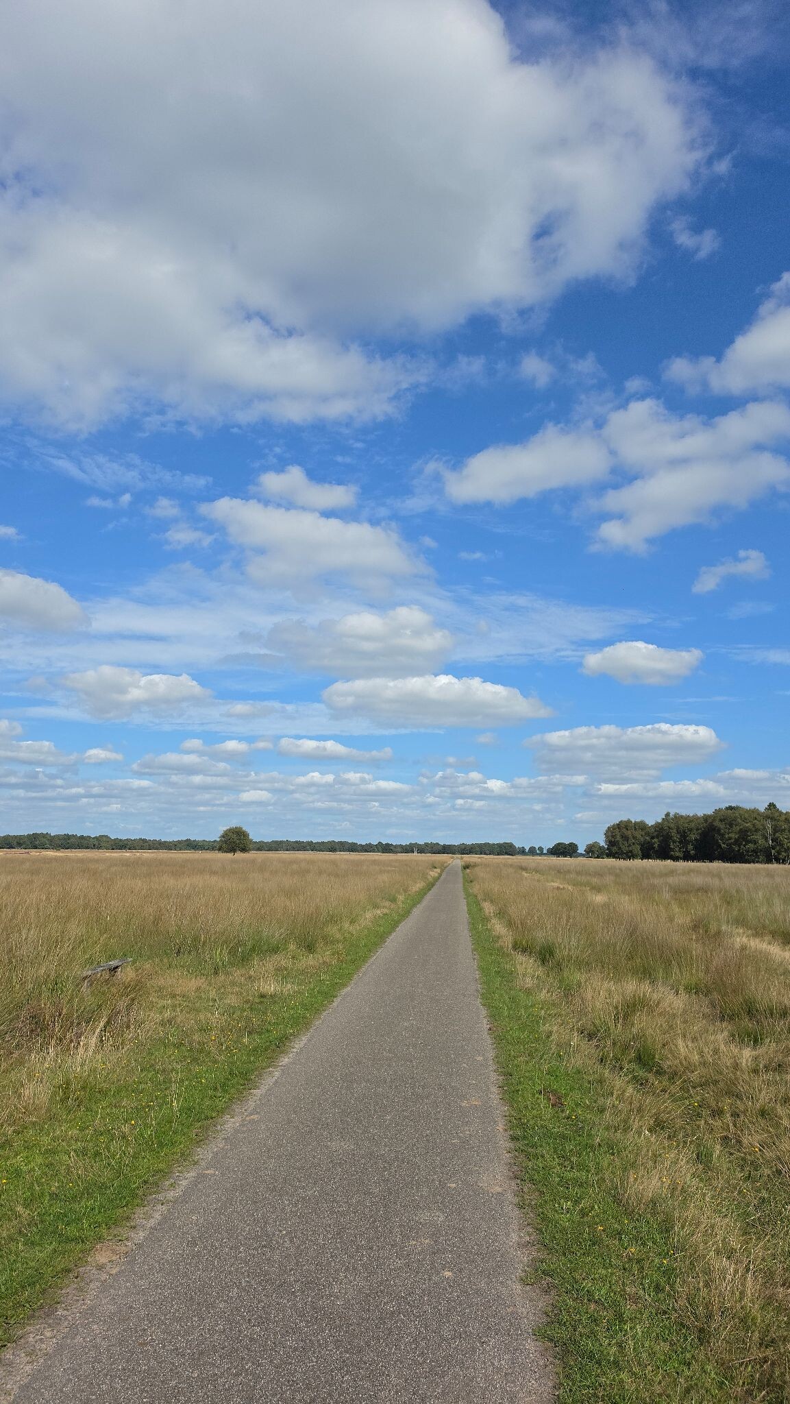 Hijkerveld - korte variant