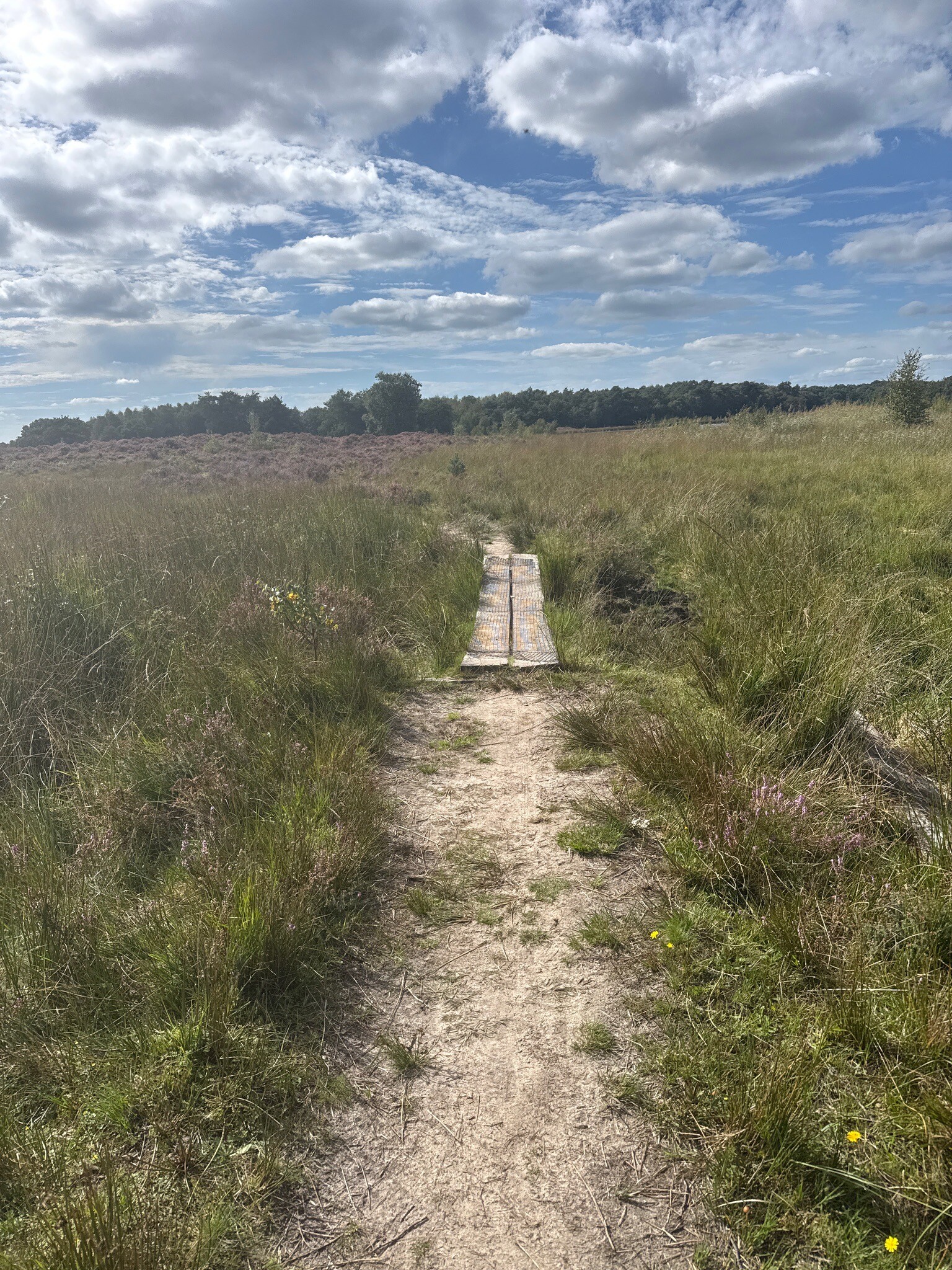 Dorpsommetje Terhorst-Smalbroek
