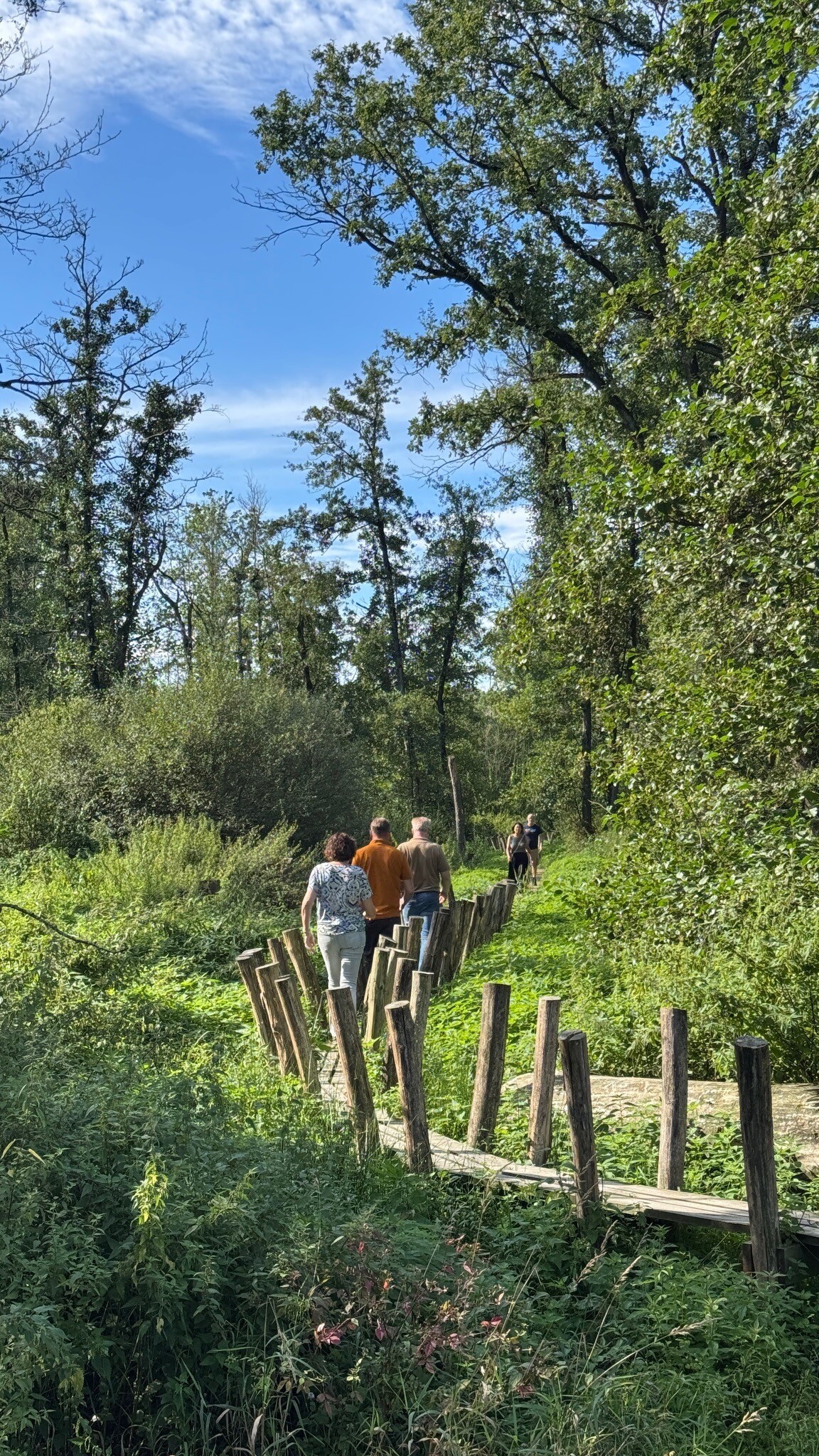 Landgoed wellenseind