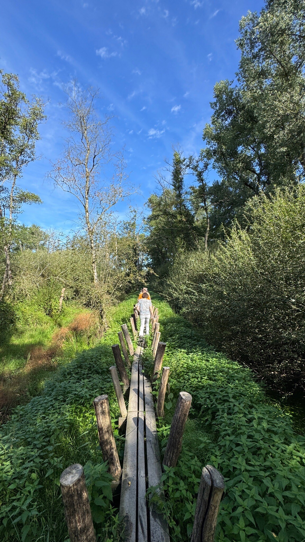 Landgoed wellenseind