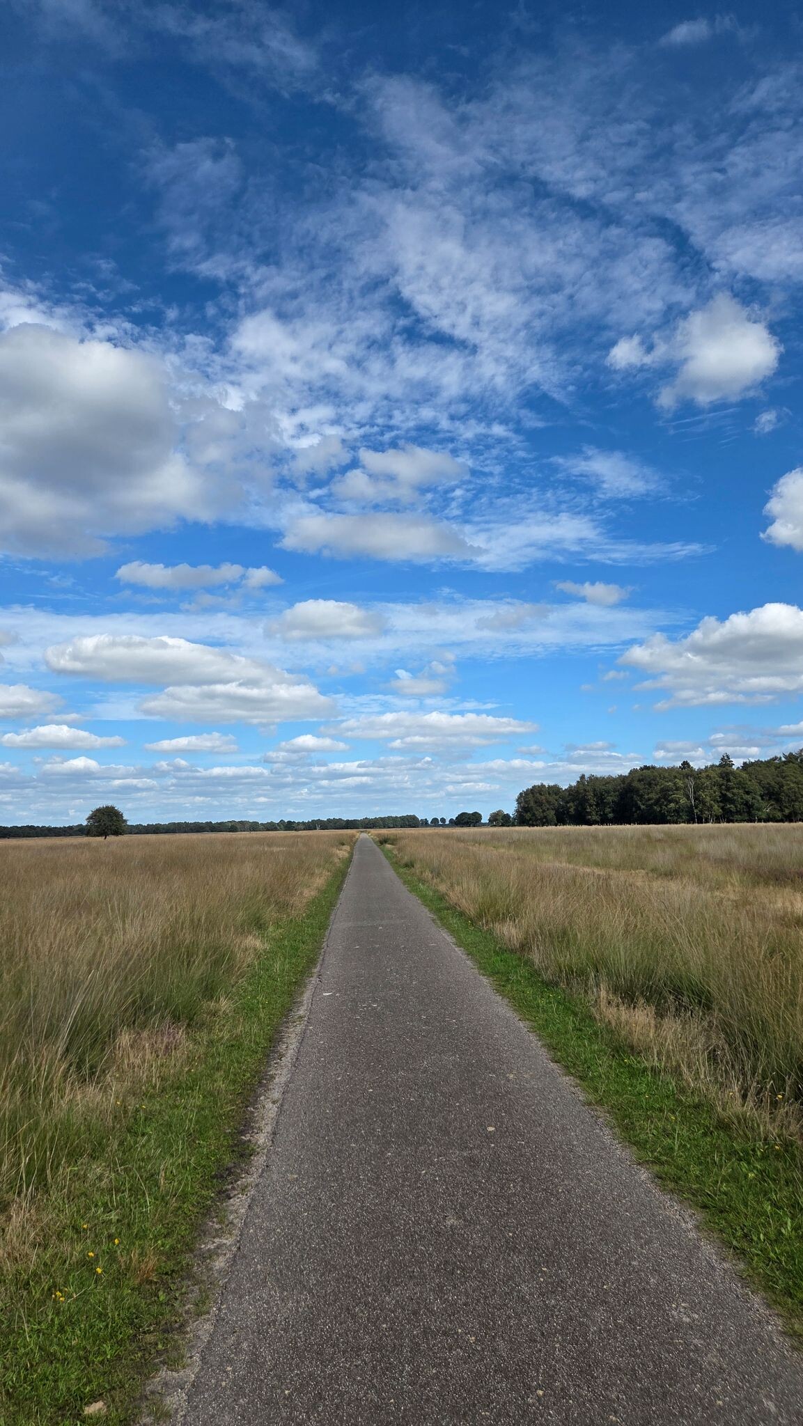 Korte route Hijkerveld