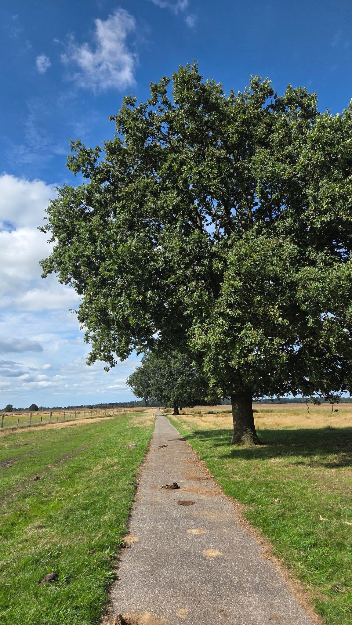 Korte route Hijkerveld