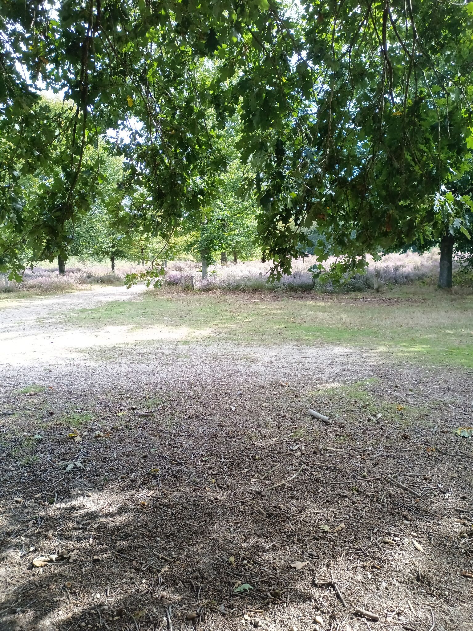 Doorn - Rhenen · Gelukkigerwijspad etappe 2