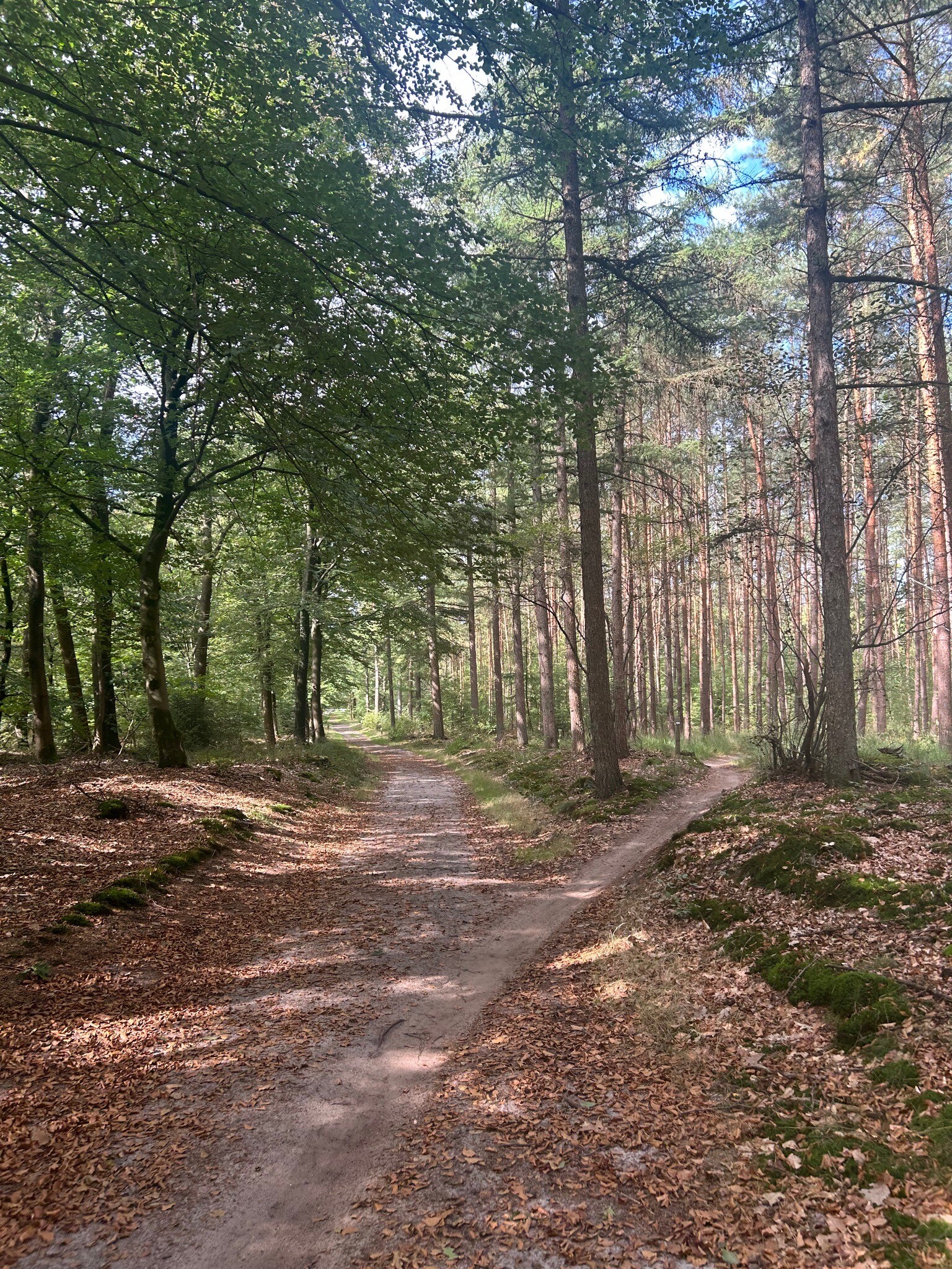 Doorn