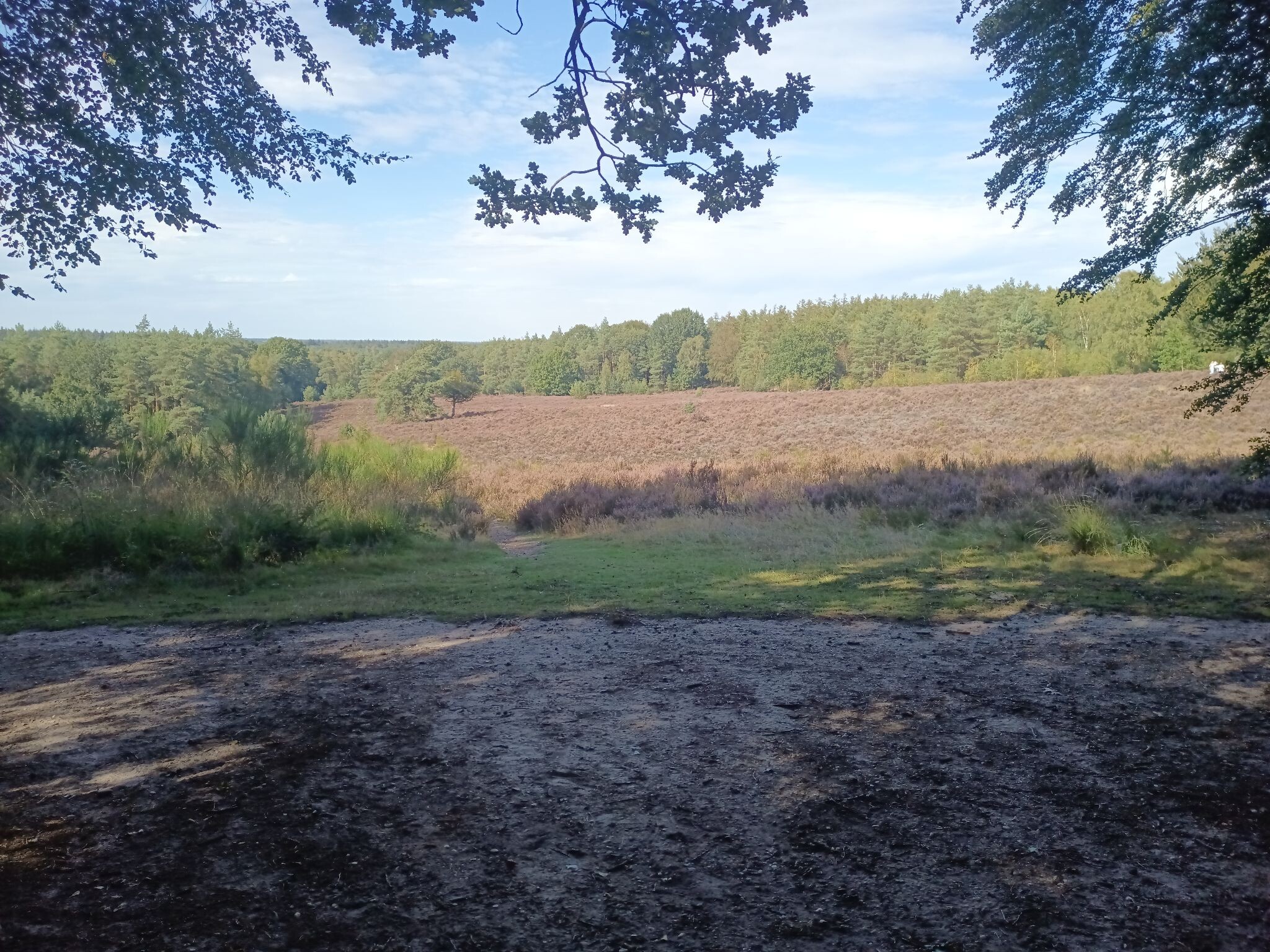 Elsterberg