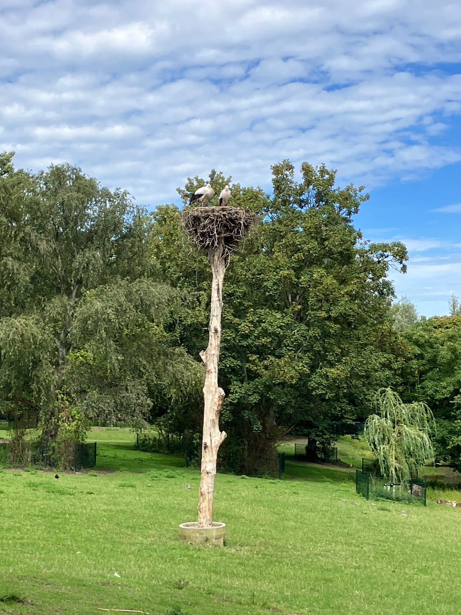 Ouderkerk a/d IJssel - Rotterdam · Groene Hartpad etappe 4