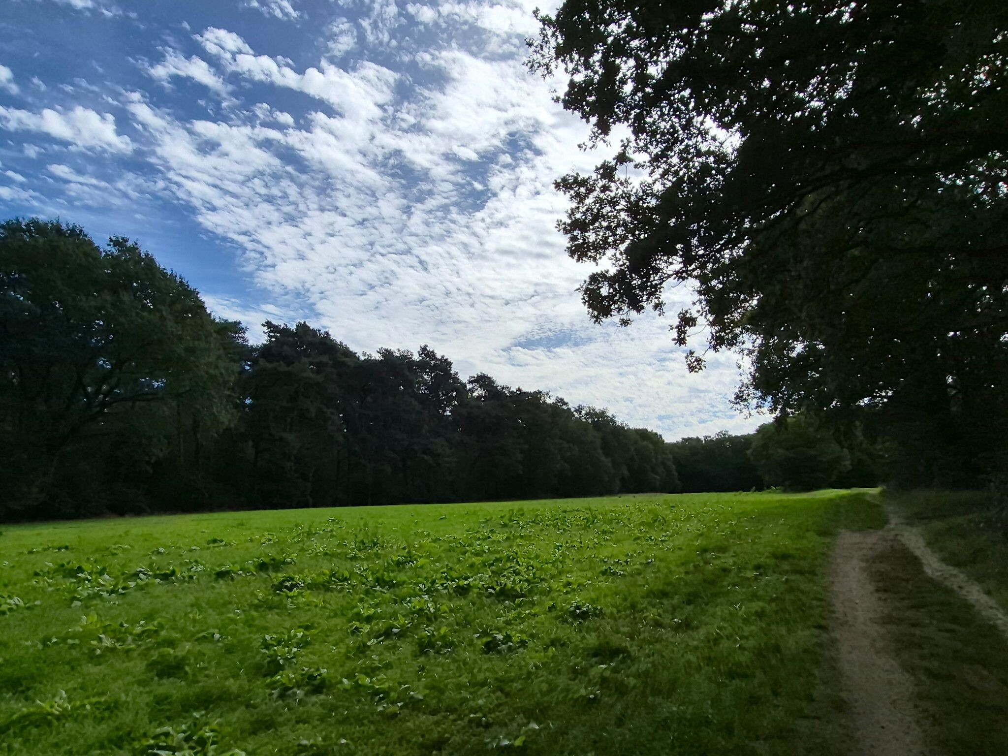 Montferlandse Toppen route
