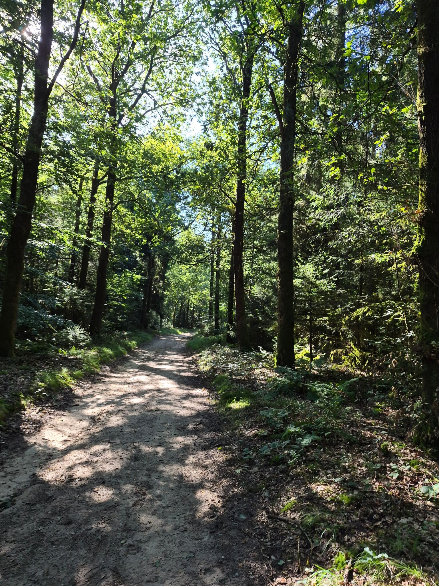 Aerdt - Braamt · Wandelroute van A tot Z etappe 10