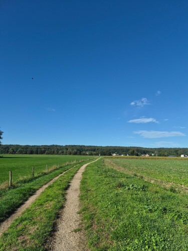 Pieterpad