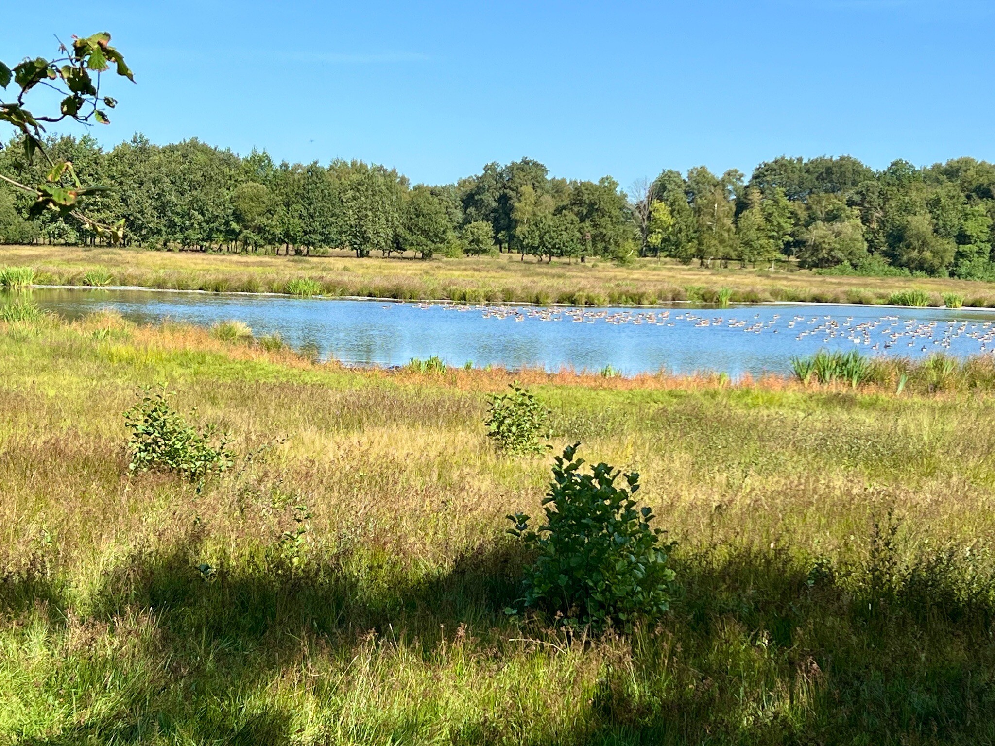 Wandelroute Eexterveld