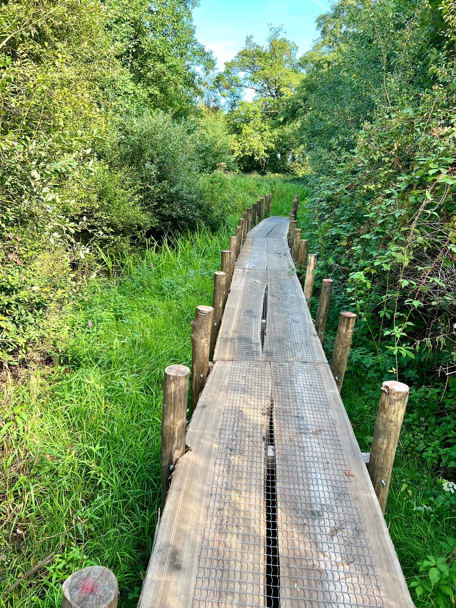 Wandelroute Eexterveld