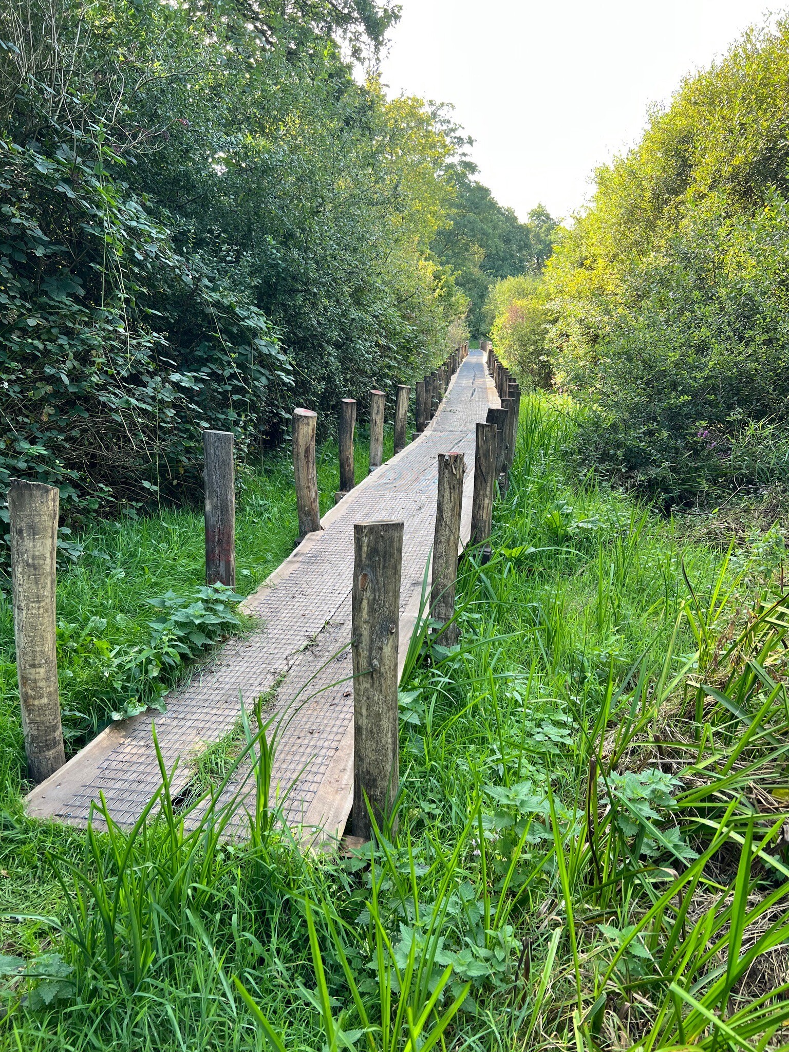 Wandelroute Eexterveld