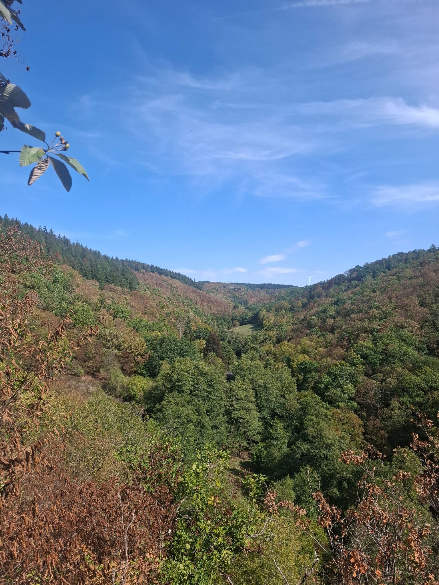 Traumschleife Ehrbachklamm