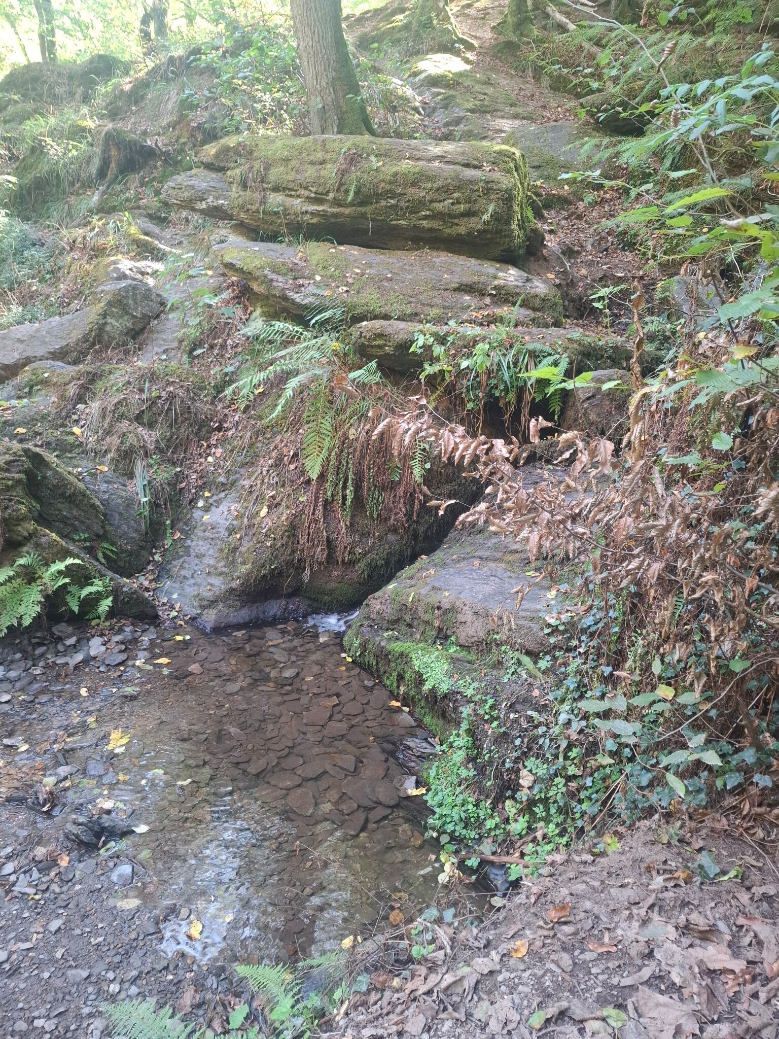 Traumschleife Ehrbachklamm