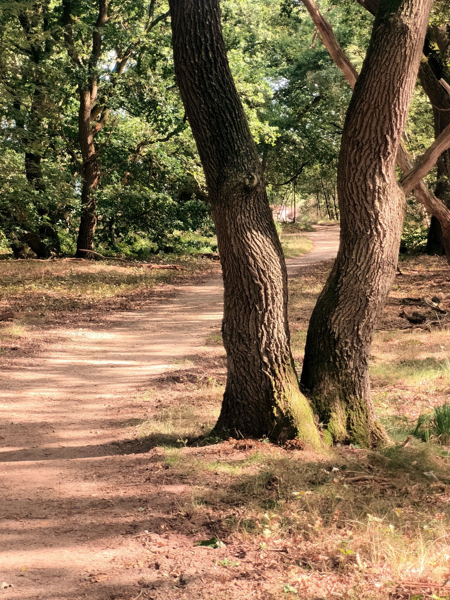 Wandelroute Cultuurhistorie 