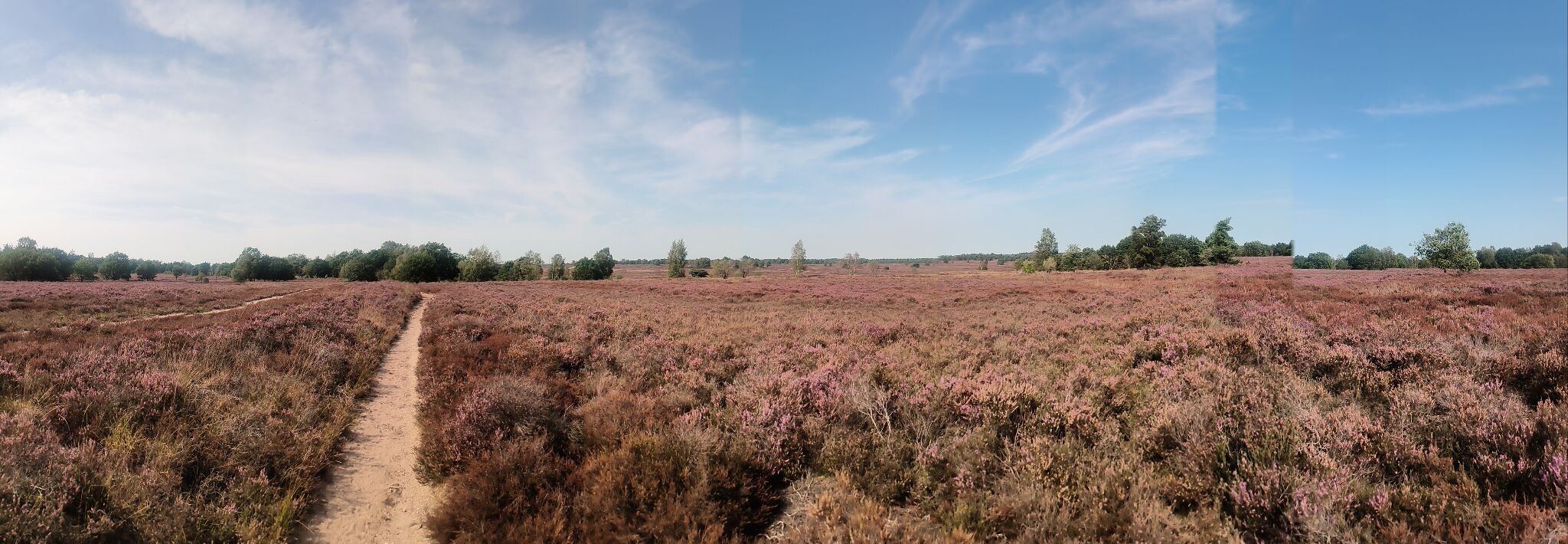 Wandelroute Cultuurhistorie 