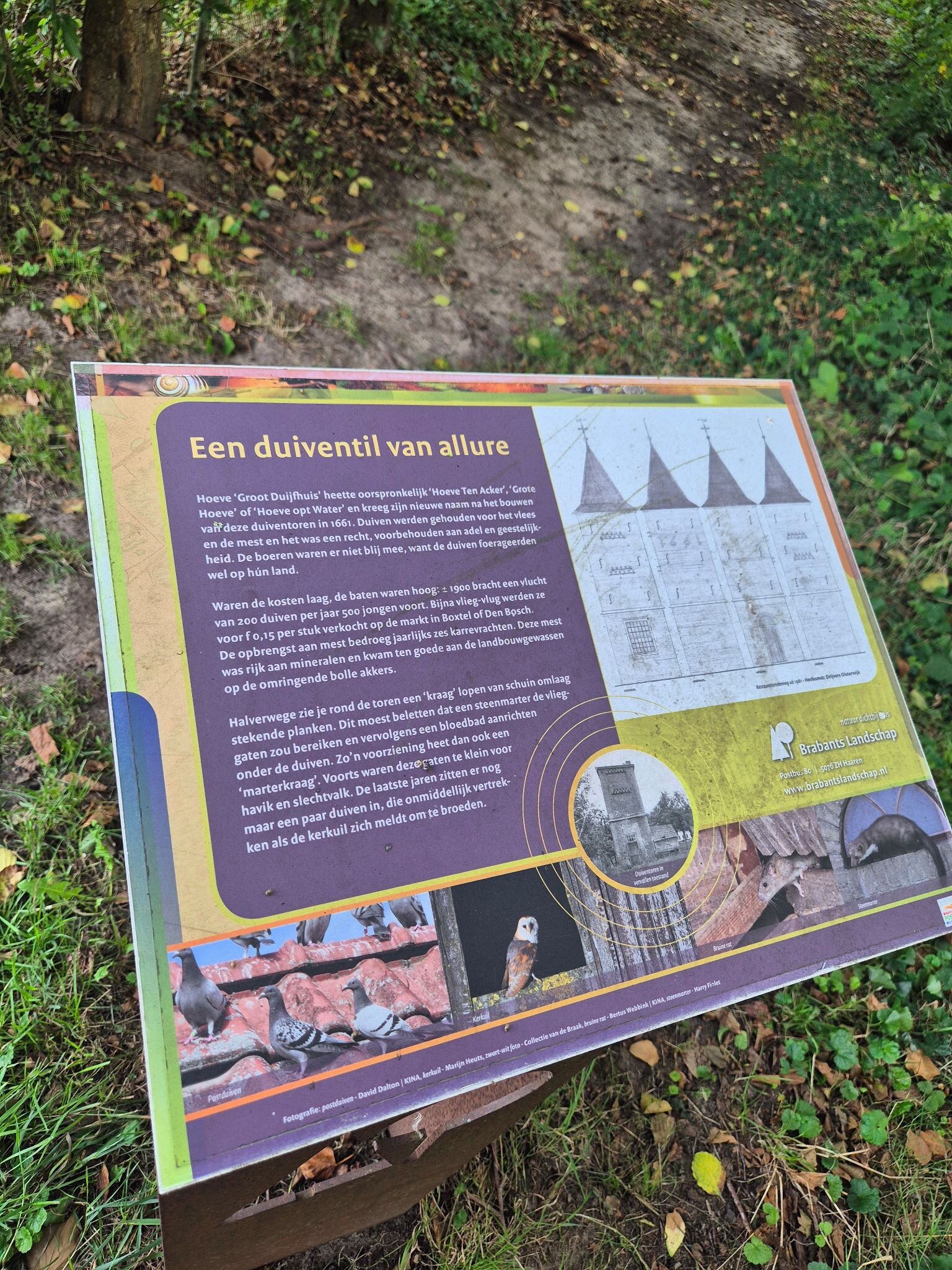 Sint-Oedenrode