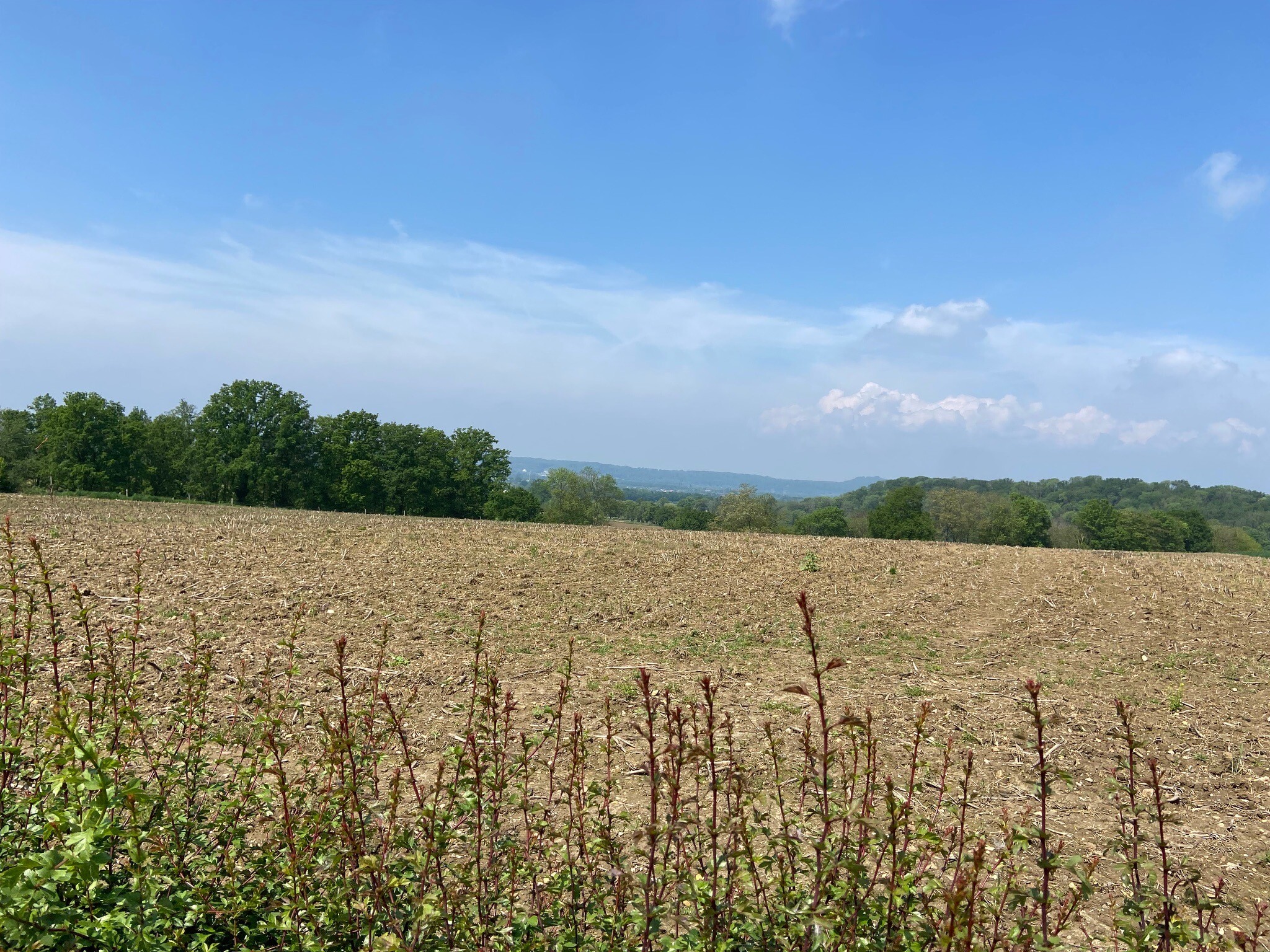 Ontginningsroute Breust-Bruisterbosch Eijsden-Margraten